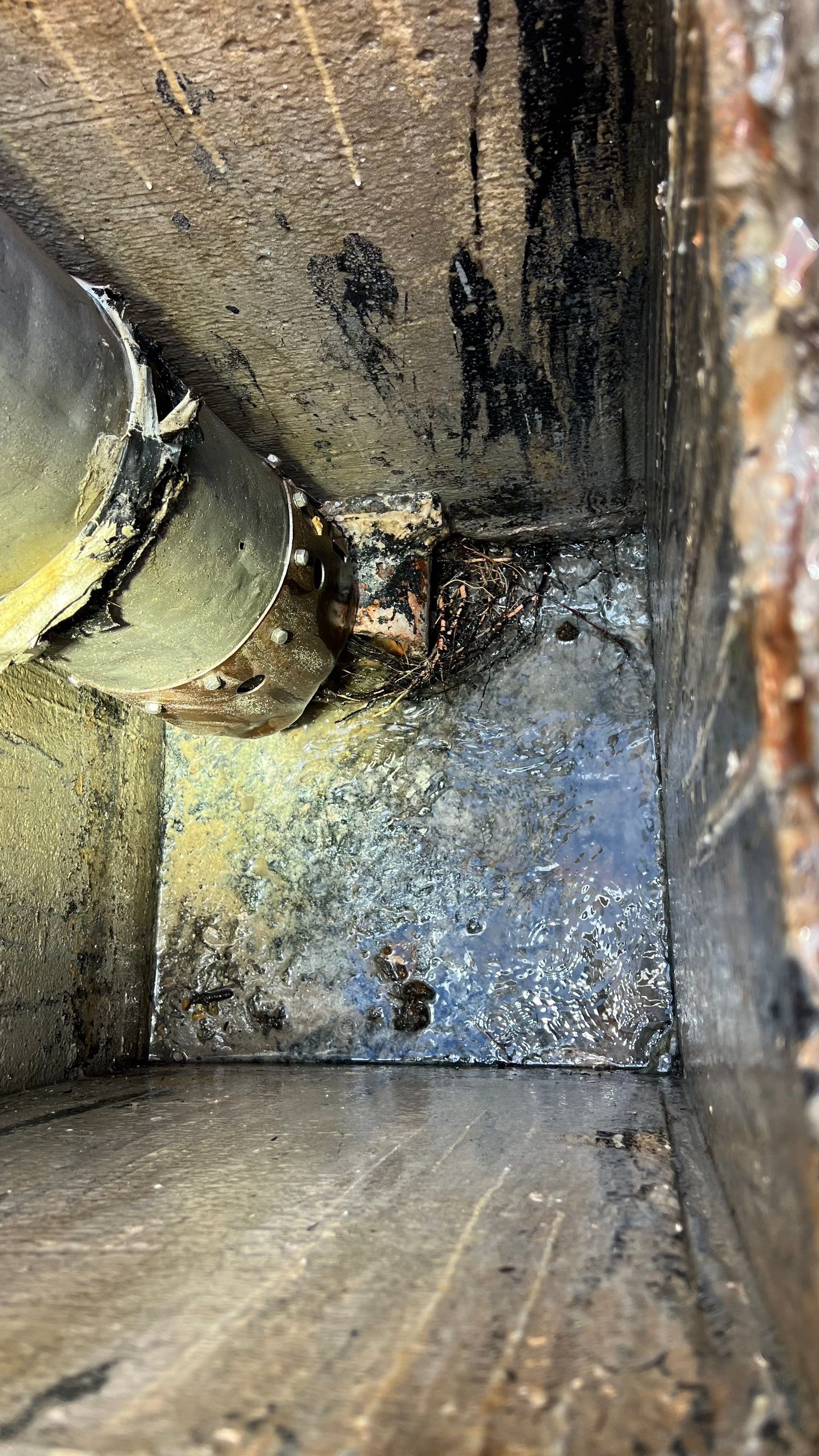 Catch Basin Cleaning After Hurricane Milton Naples Condo by APS Power & Water