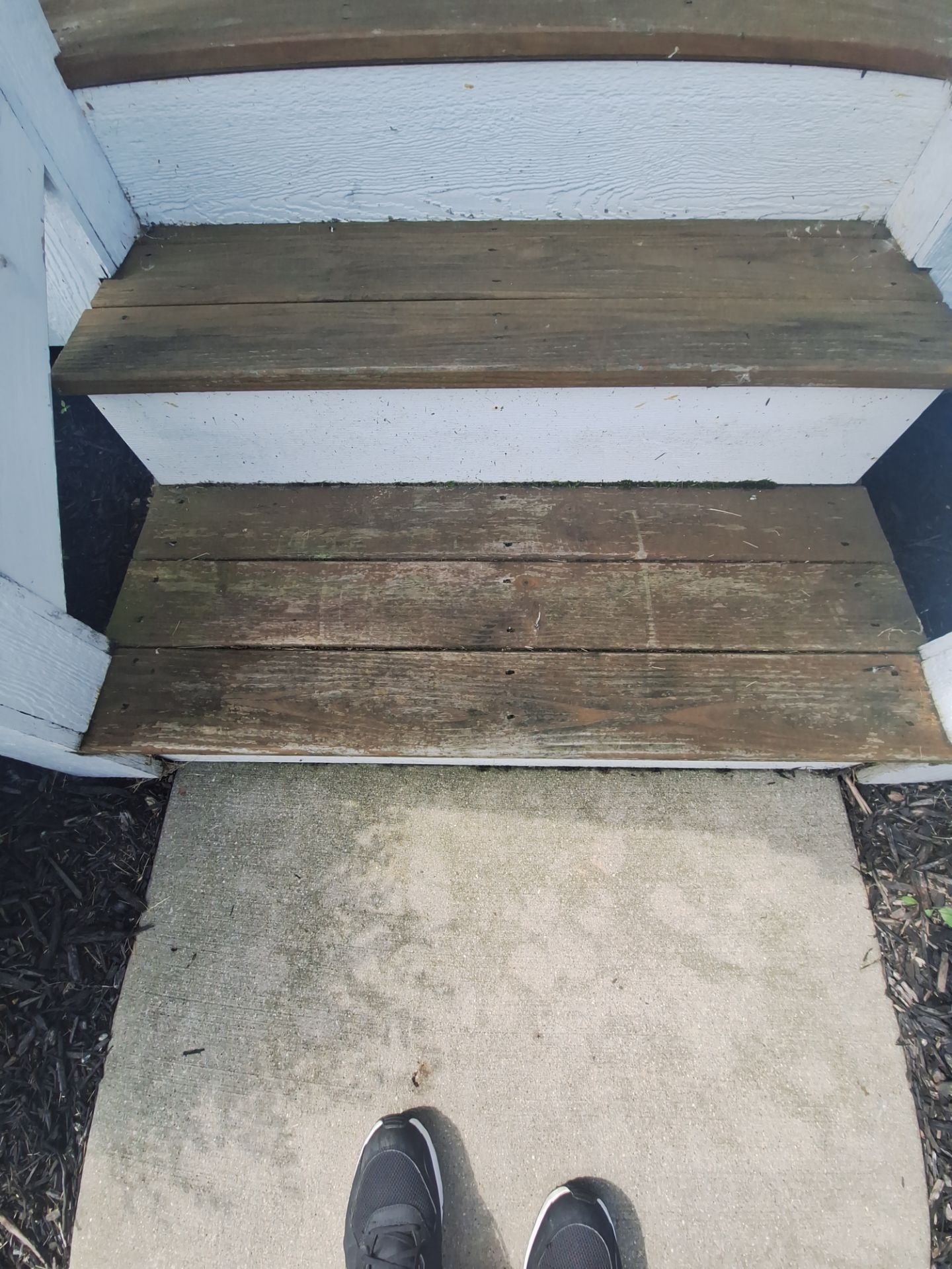 Freshly Stained Deck with Painted Railings by Gordon Painting