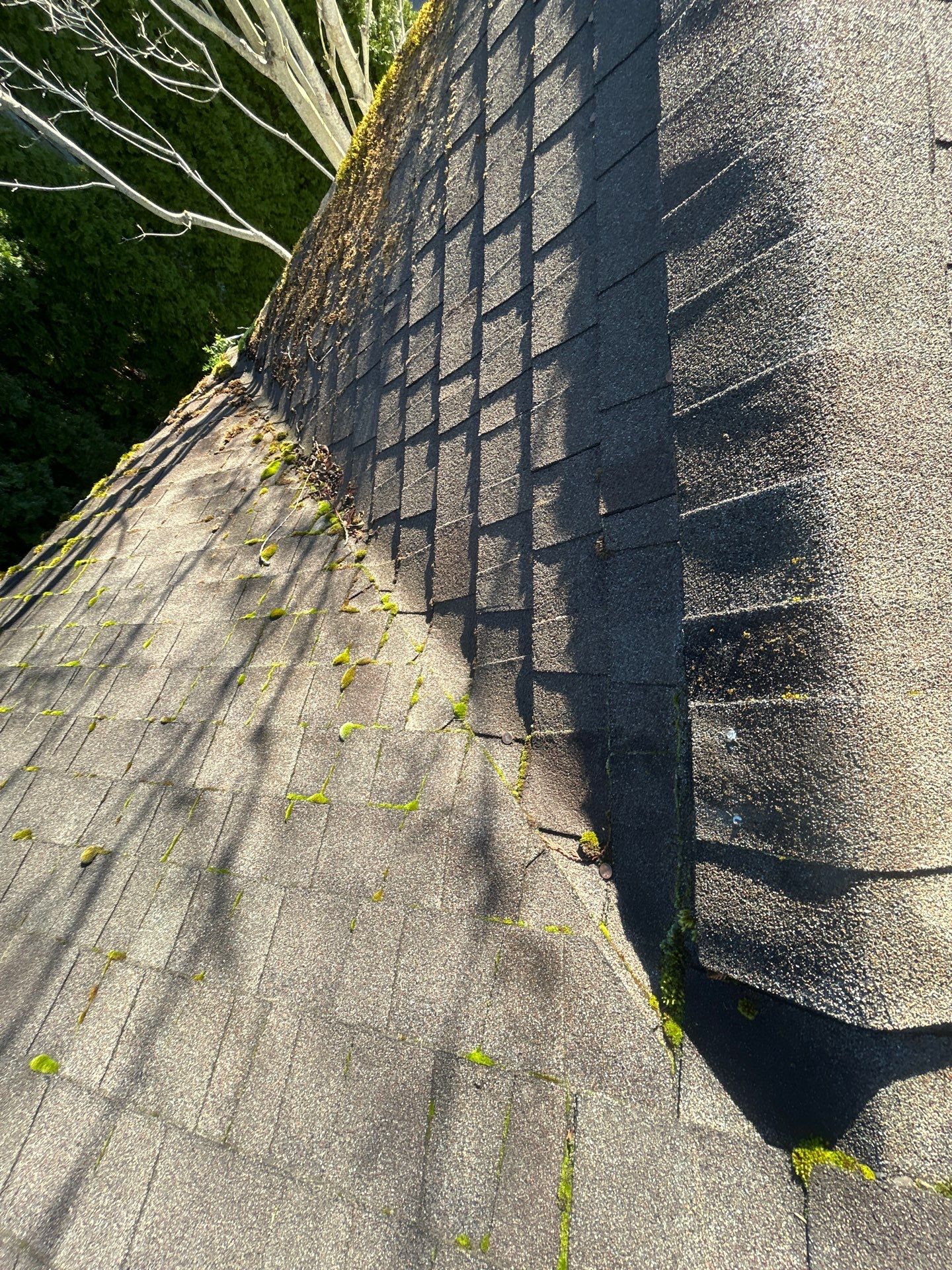 Project in Mount Vernon by Peaks and Valleys Construction