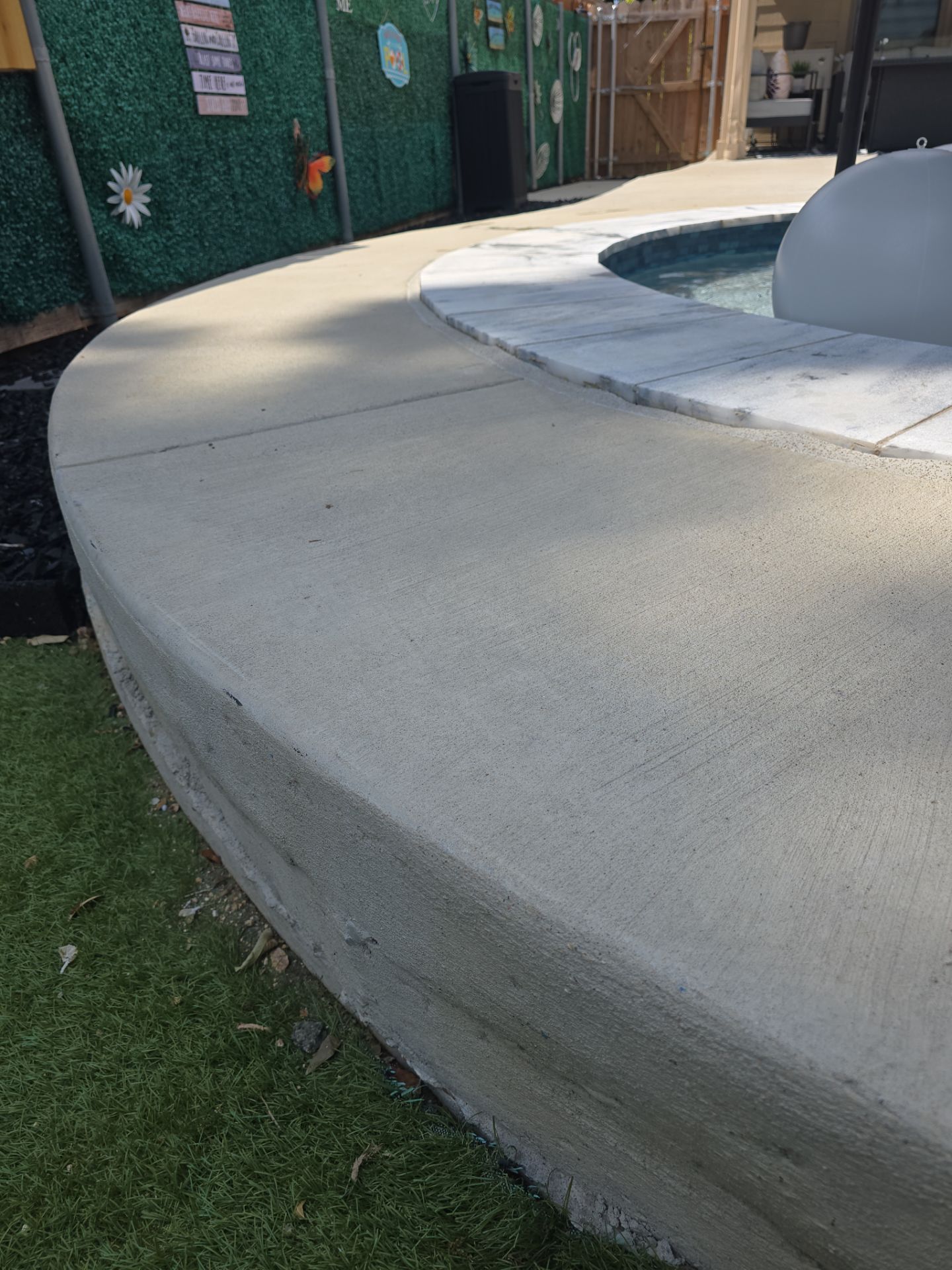 Freeform Pool with Raised Spa and Tanning Ledge by Pinnacle Pools and Spas - DFW