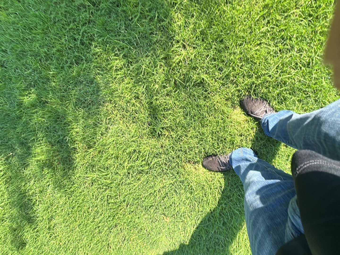 Roof Replacement in Allen TX by Pioneer Roofing