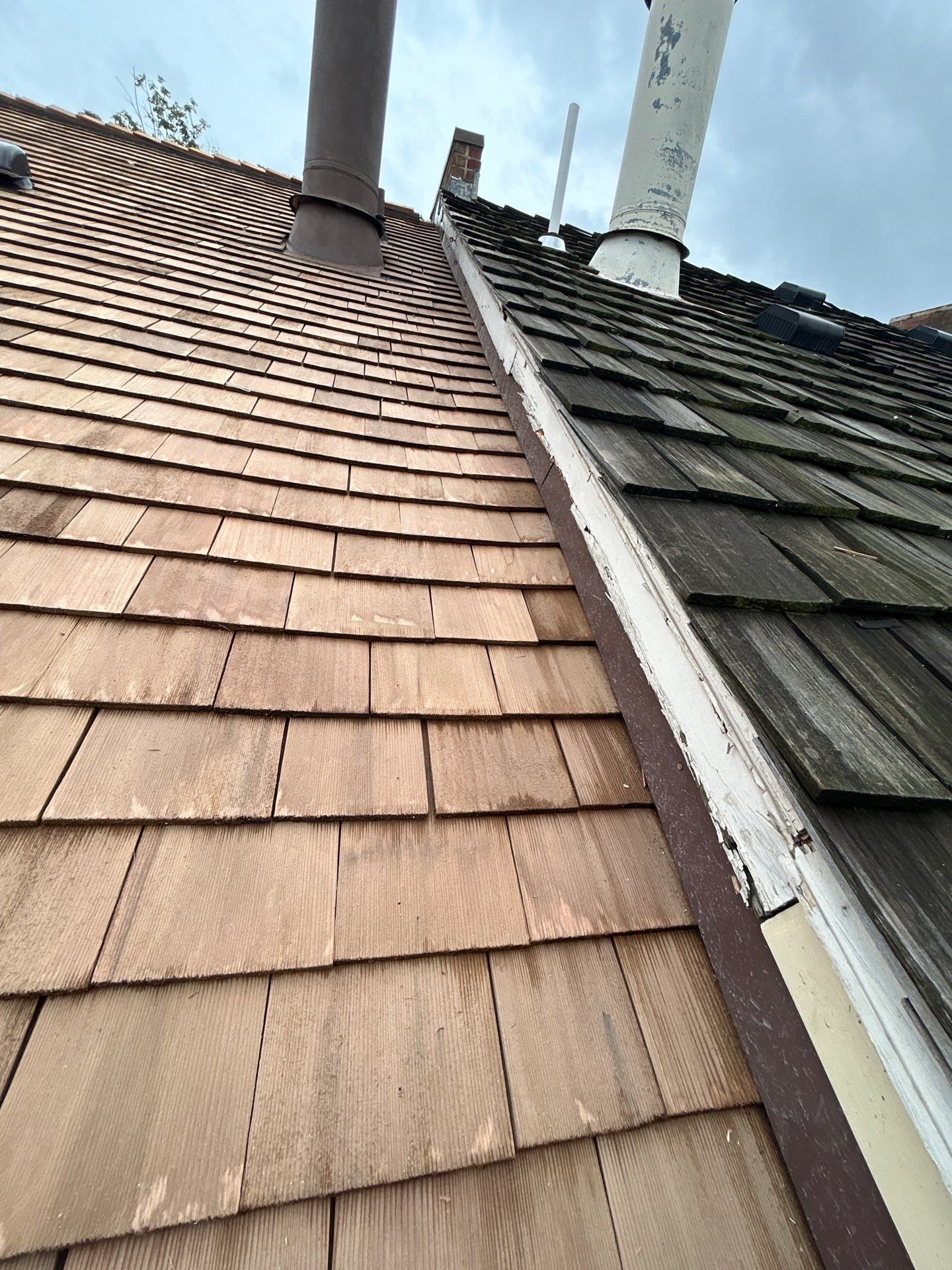 Arlington: Residential Roof Replacement with Perfection CCA-Treated Cedar Shakes by RM Banning, Inc.