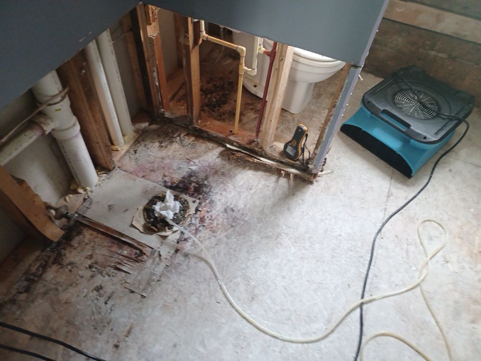 Project in Croswell by EzDry Water Mitigation & Property Restoration