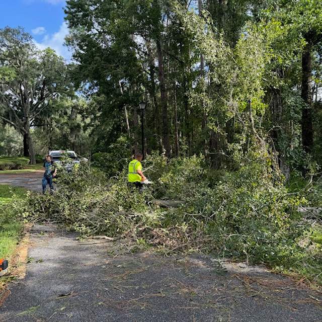 Deerwood Community | Contract Tree Work by ProGreen Services