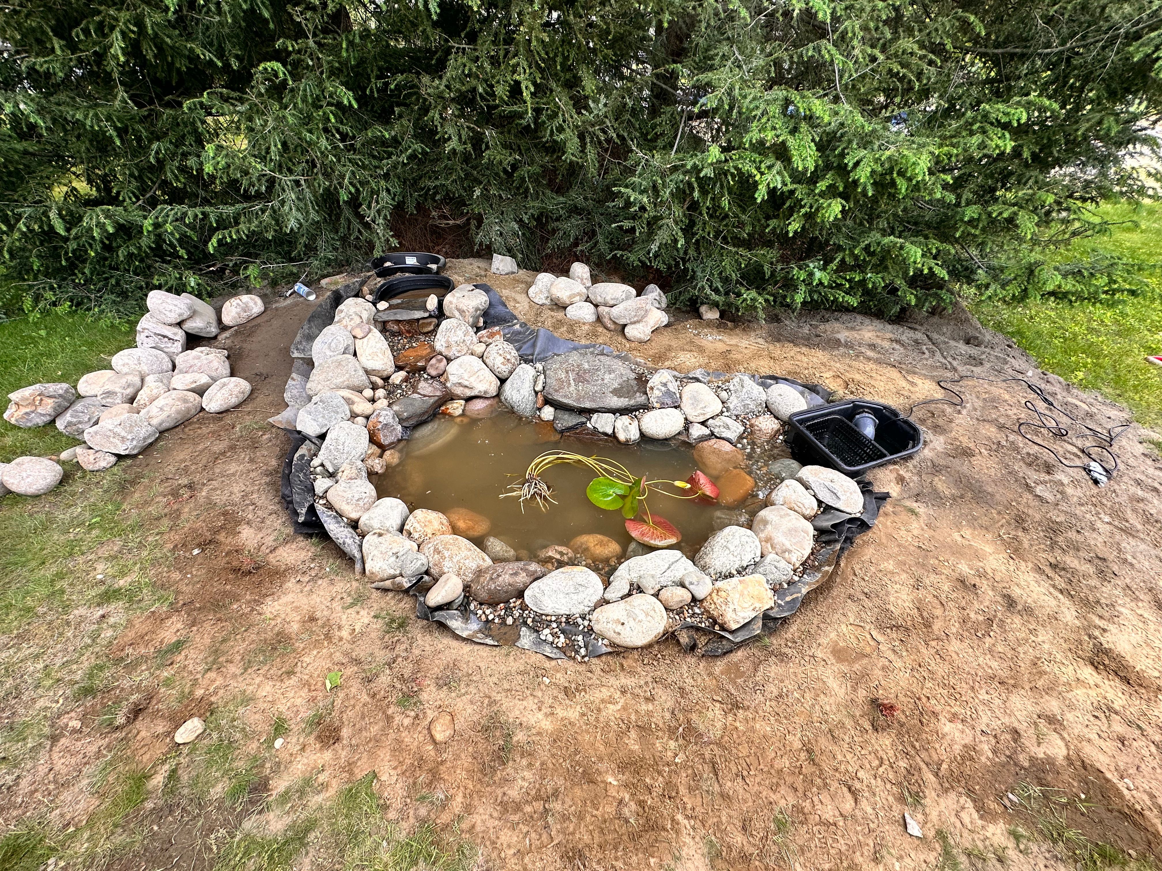 Small Pond For Our Neighbors in South Deerfield by Wicked Water Gardens