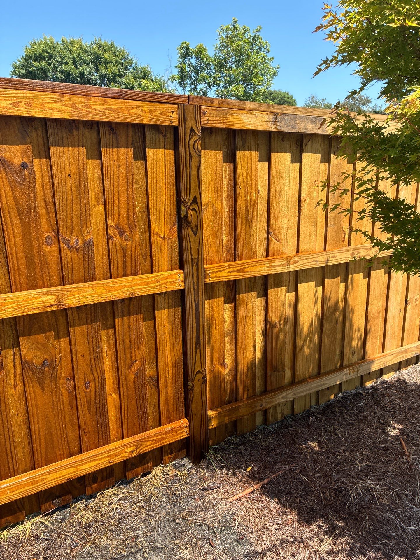 Fence using Wood Sealant by DuraSeal