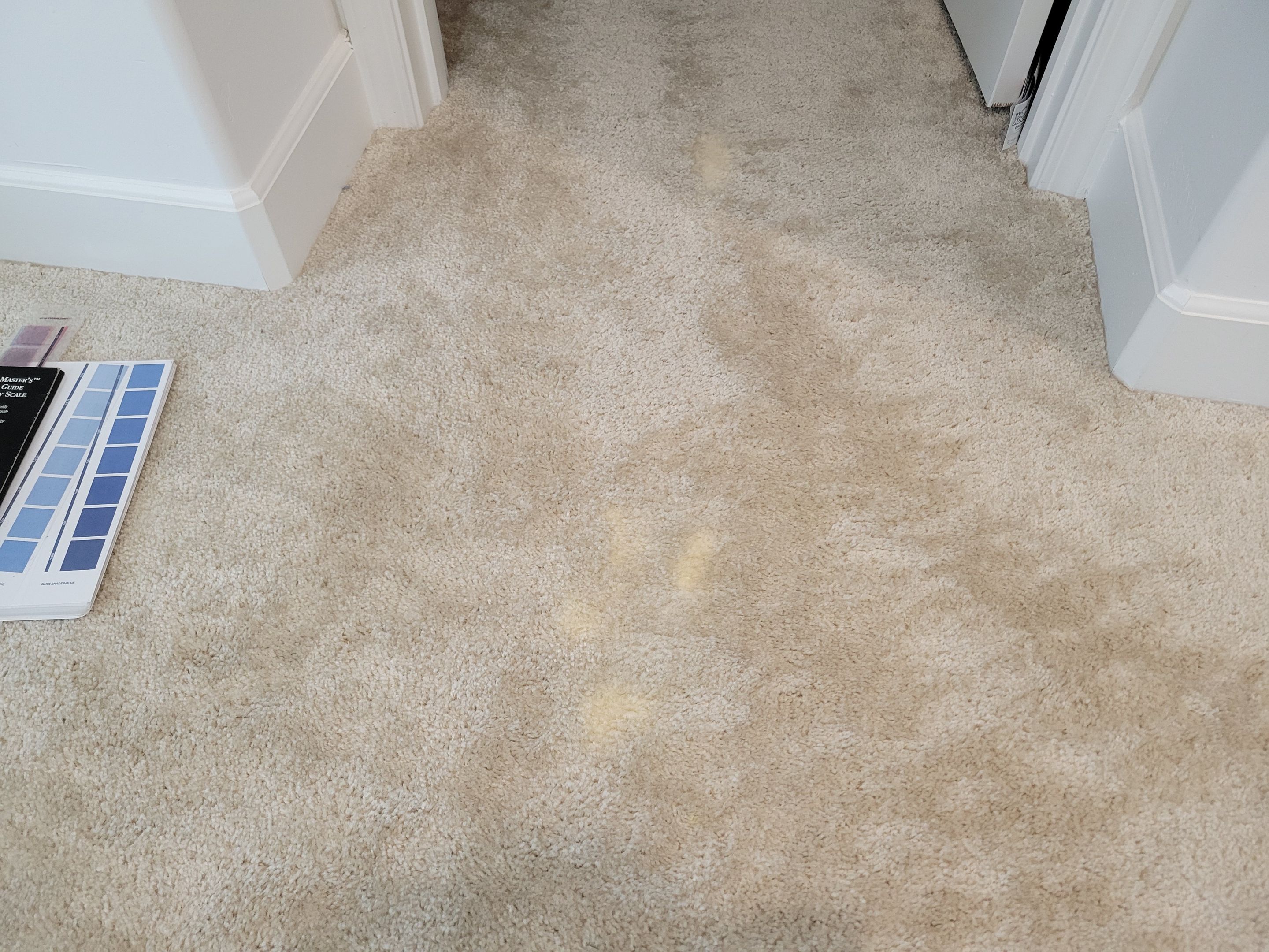 Carpet Repair of Paint, Stain & Bleach by Ardent Carpet Restore LLC