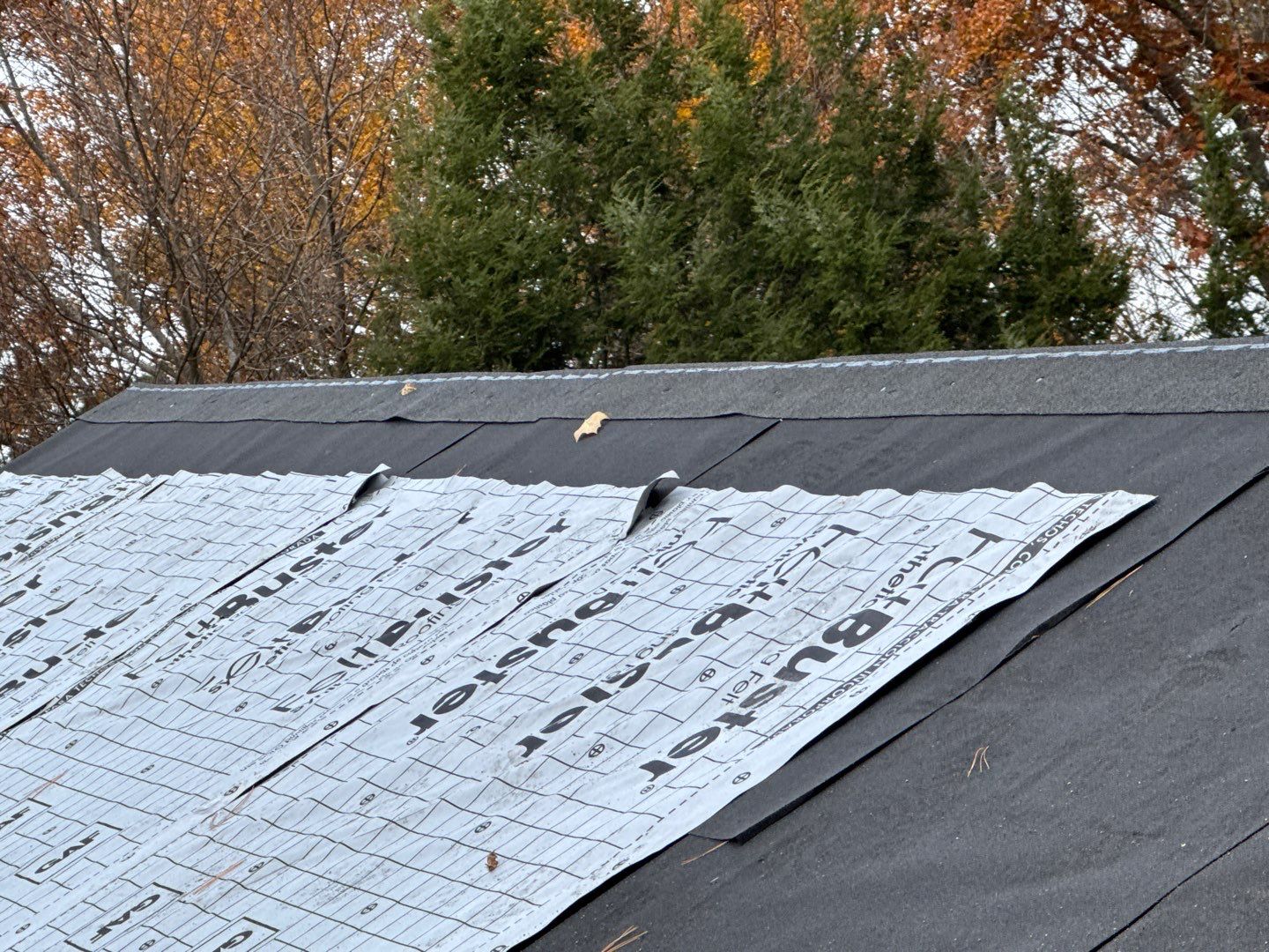 Revitalize Your Home with a New GAF Roof, Velux Skylights & Solar-Powered Shades! by Sensible Home Solutions