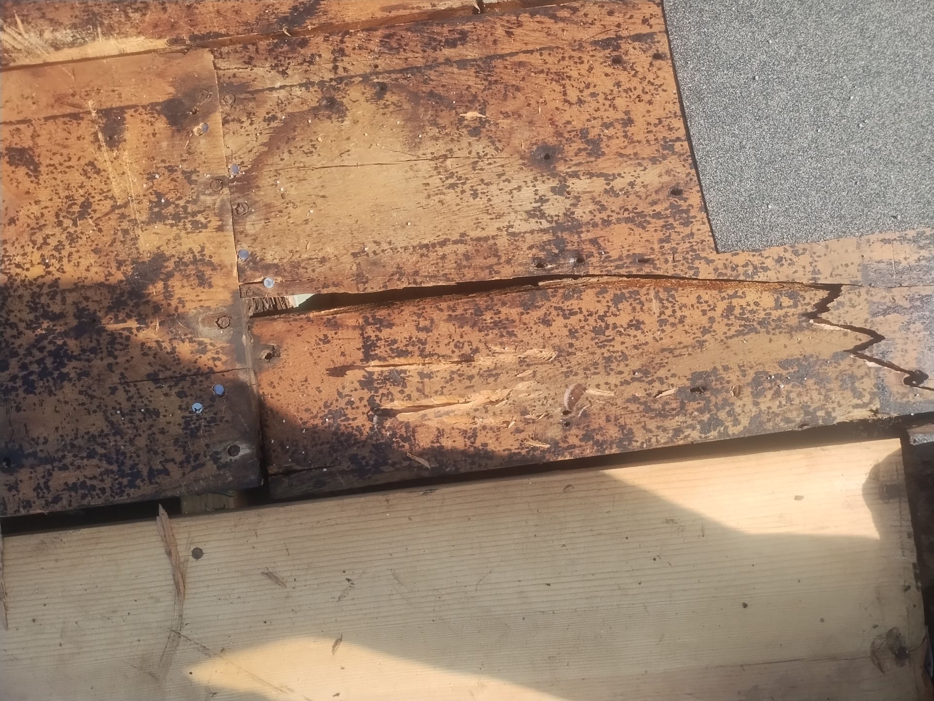 Project in St. Petersburg 33702 by Mitchell Roofing Company LLC 