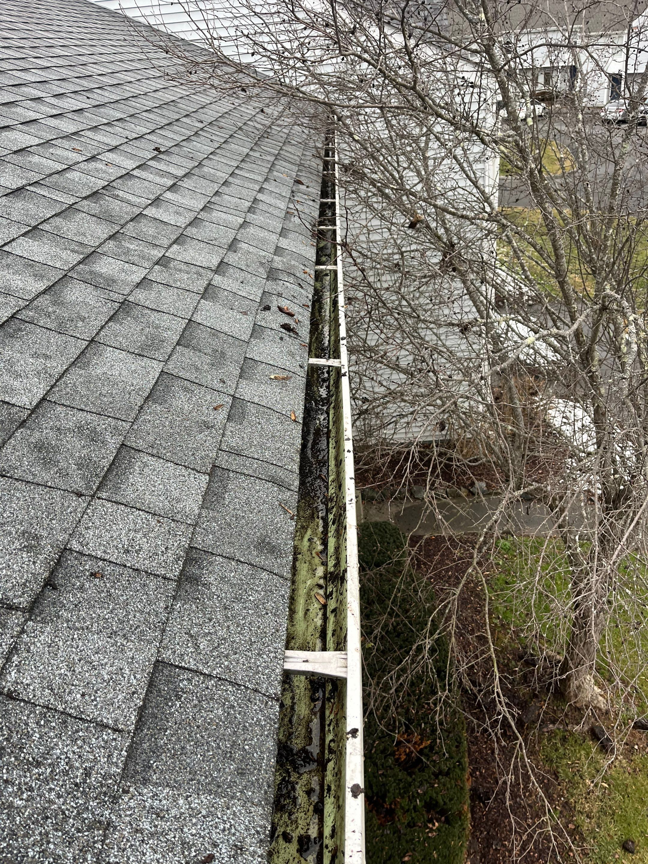 Commercial gutter cleaning Boone & Blowing Rock, NC after photo with clean gutters