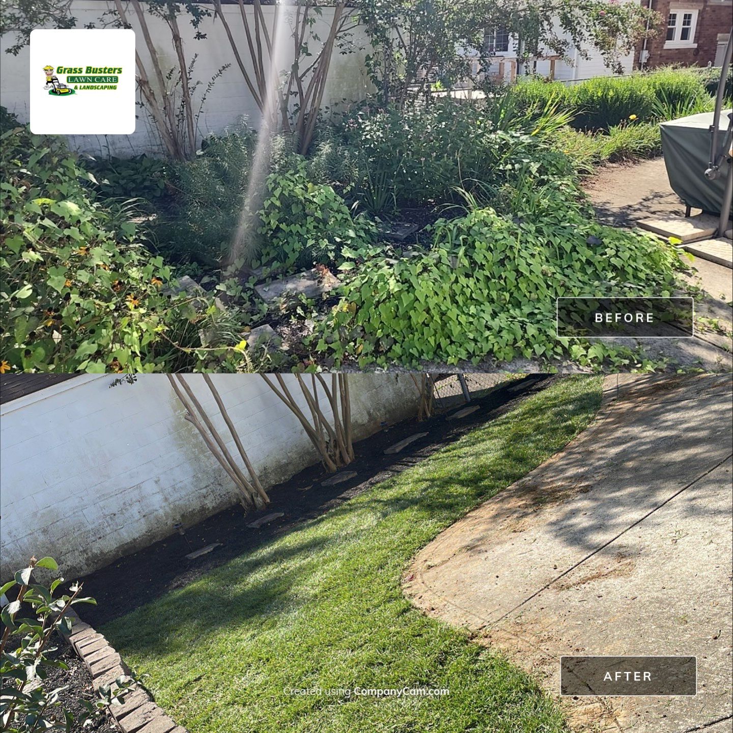 Total transformation! by GrassBusters, Inc.