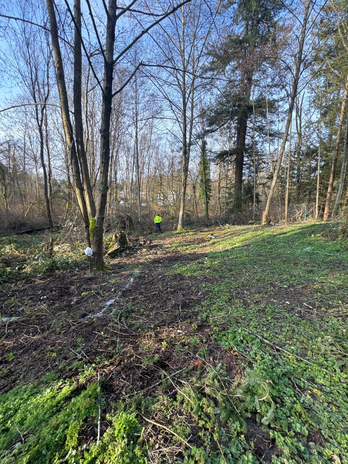 Retaining Wall and Backyard Renovation | Everett  by Jireh Asphalt & Concrete Inc 