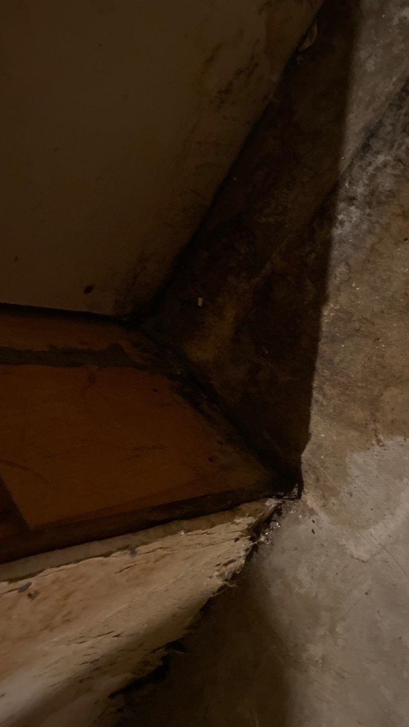 Water Damage  by Accountable Home Services