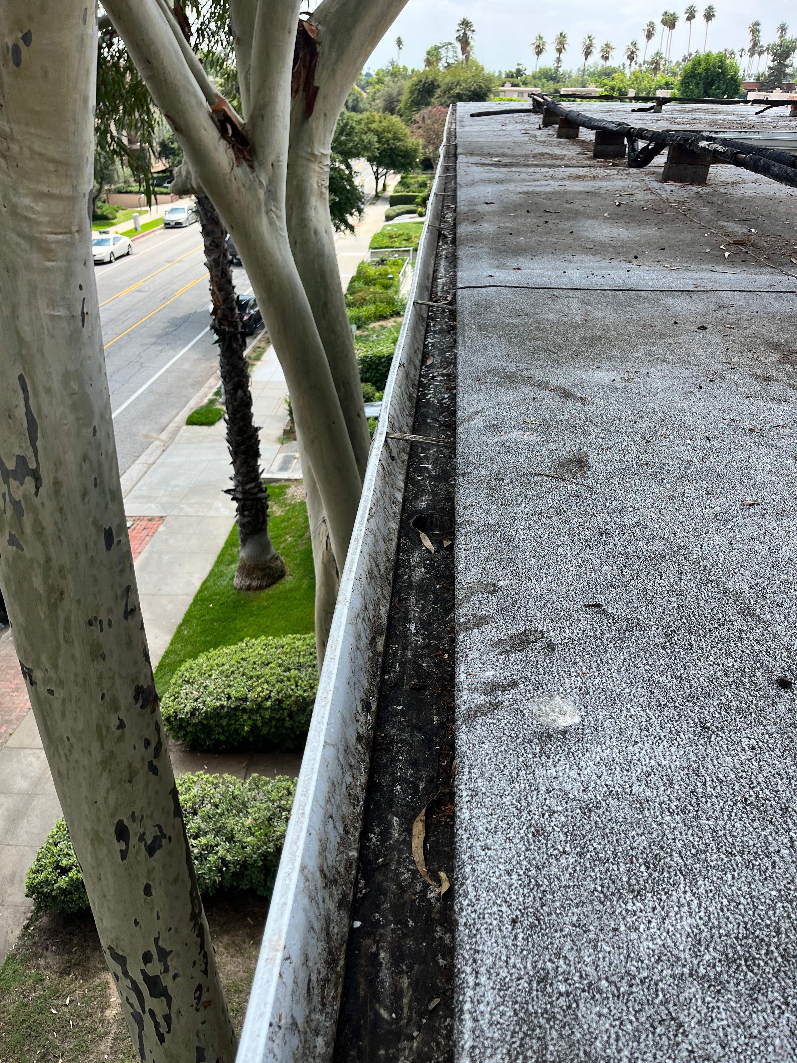 HOA Gutter Cleaning in Pasadena by Palm Coast Solar Cleaning