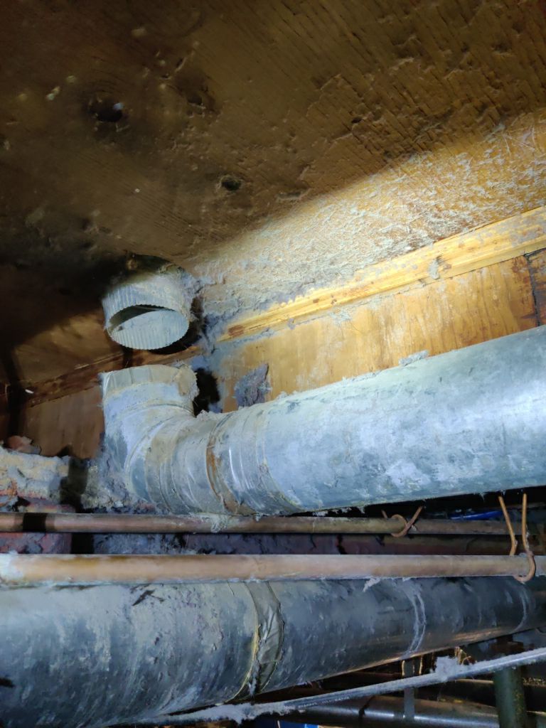 Crawl Space Cleanup  by Accountable Home Services