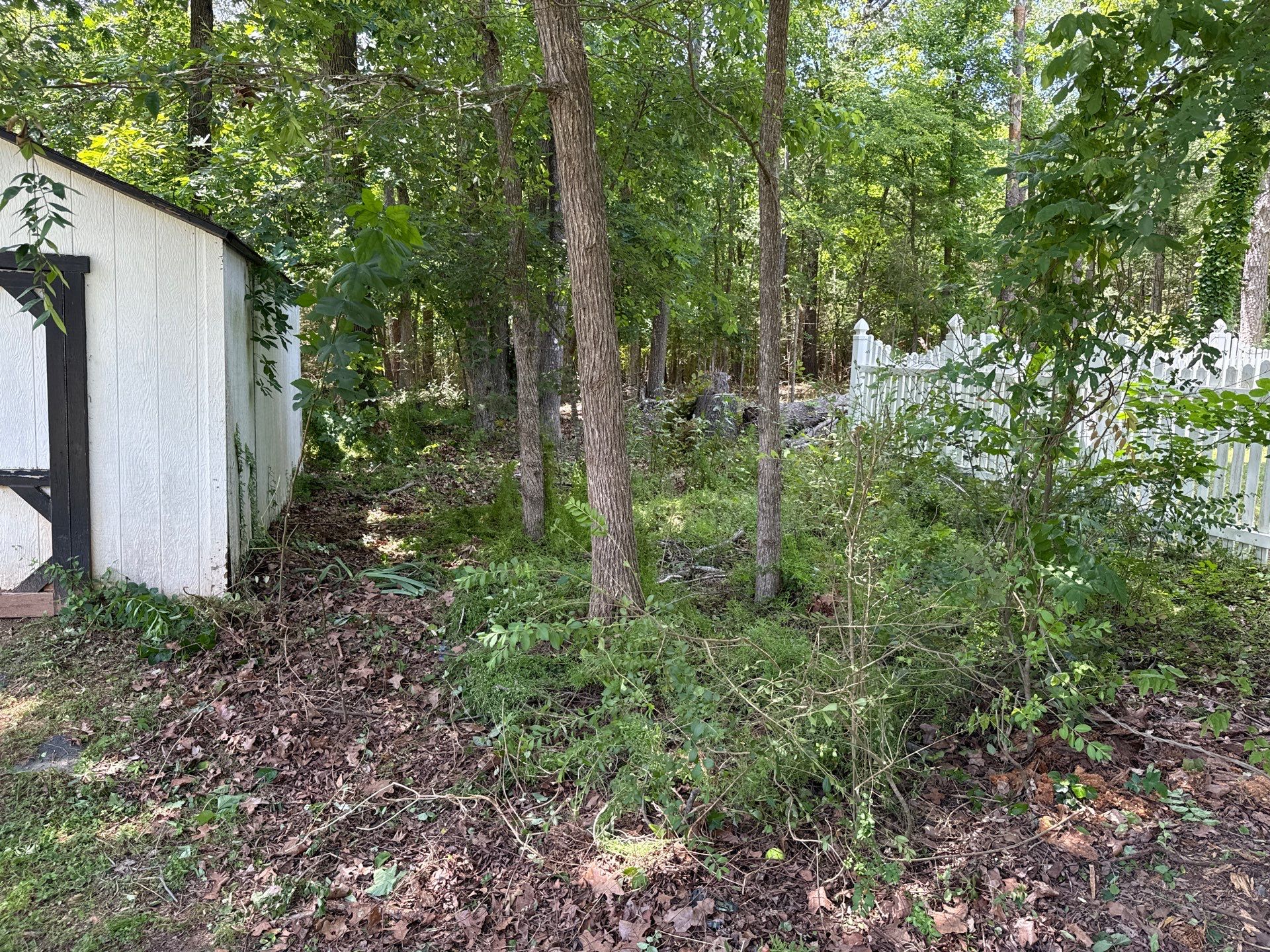 Project in Mint Hill by Badger Hauling