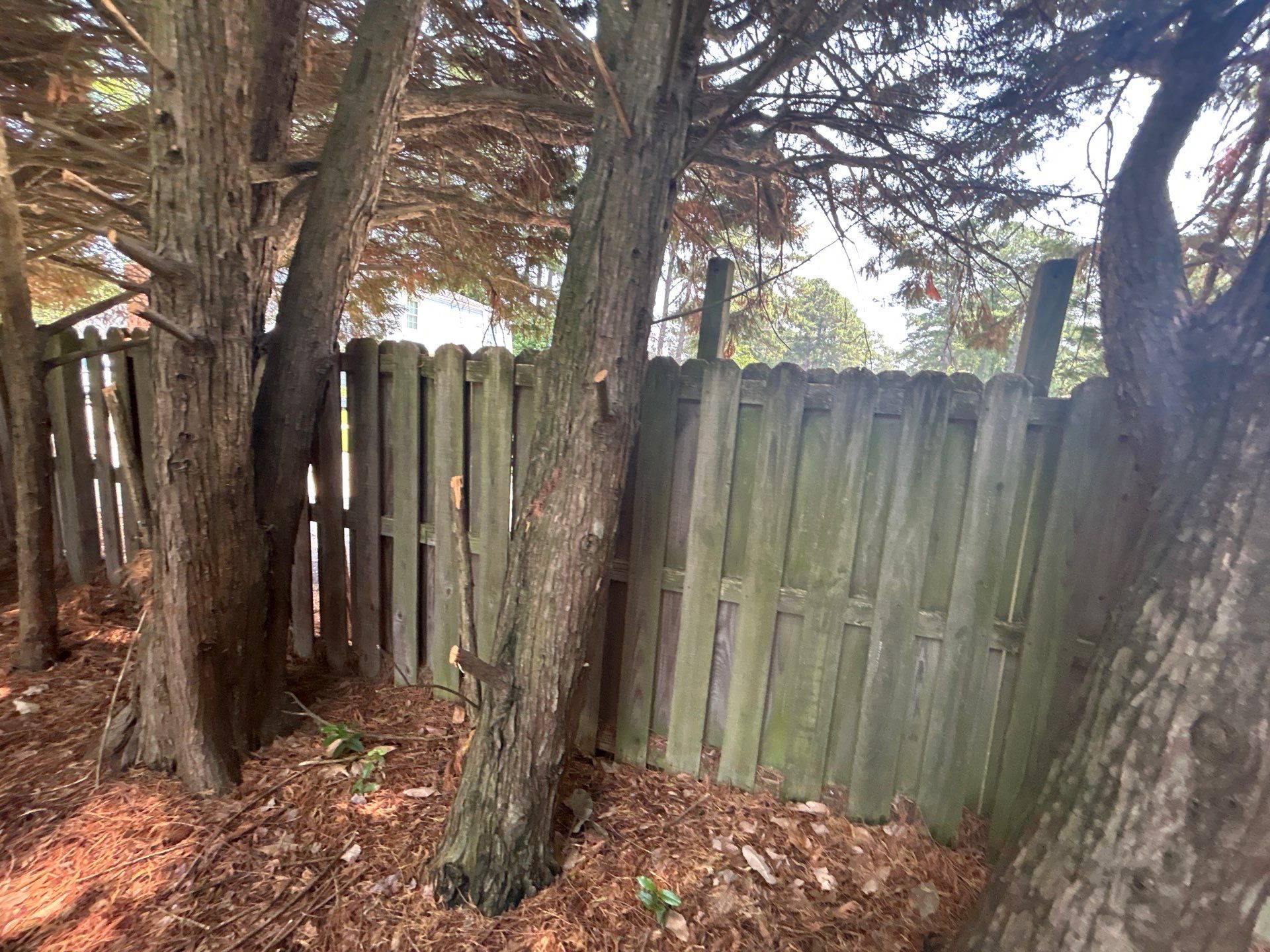 Fencing by Karcher Roofing