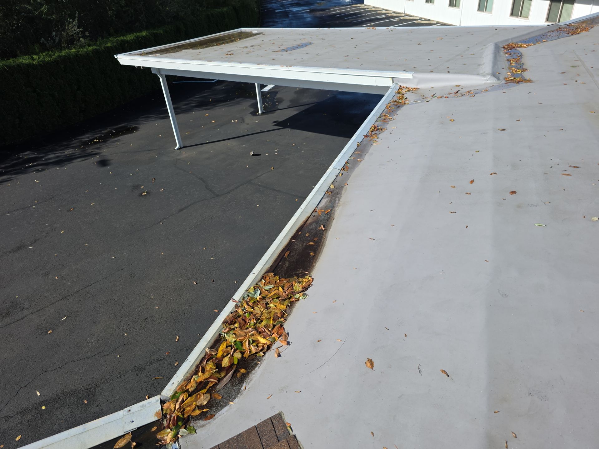 Project in Corvallis