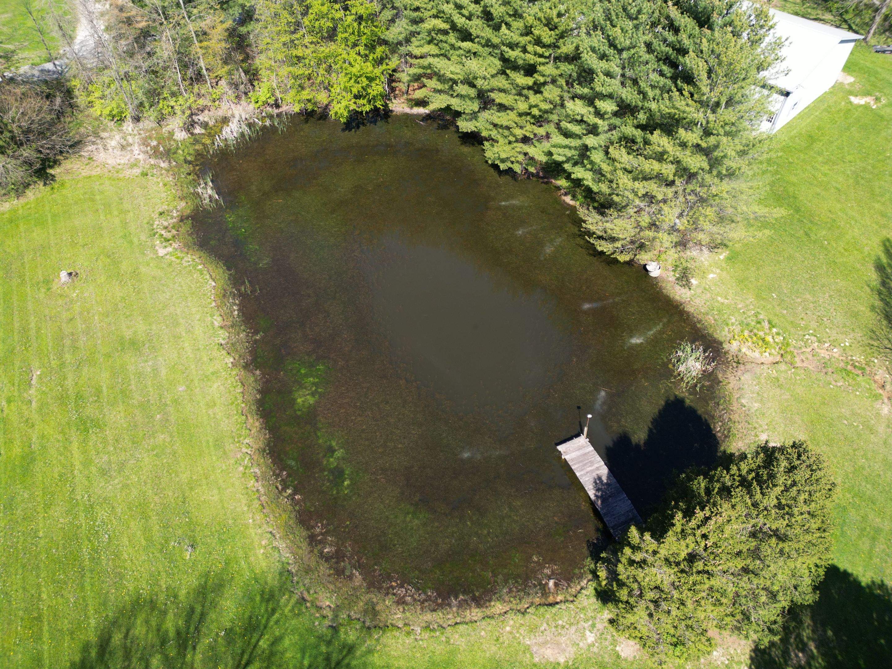 2025P1 by Bellus Aquatic Solutions