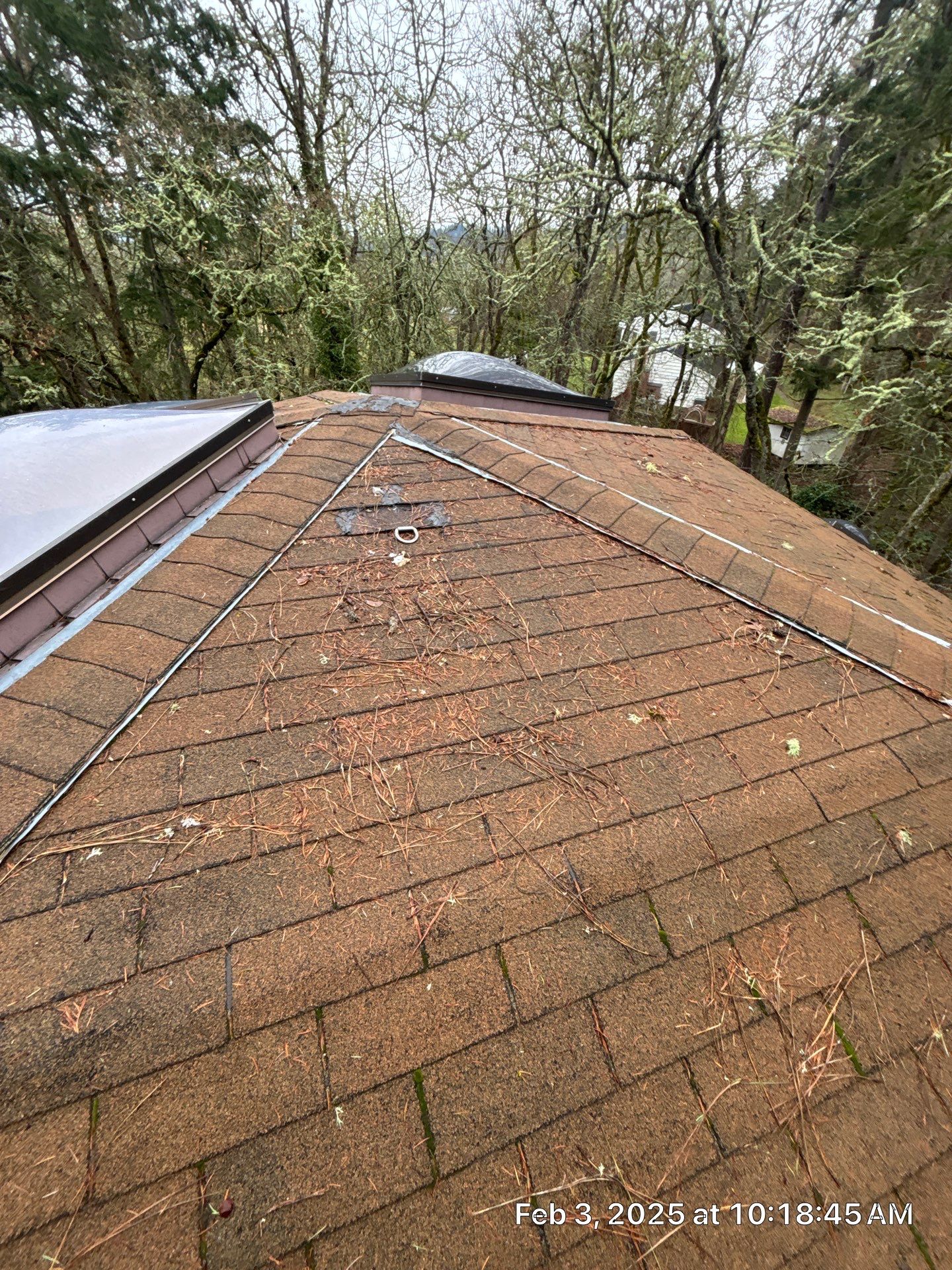 Residential Shingle Dome Roof Installation – Eugene, OR by BEST Roofing & Waterproofing