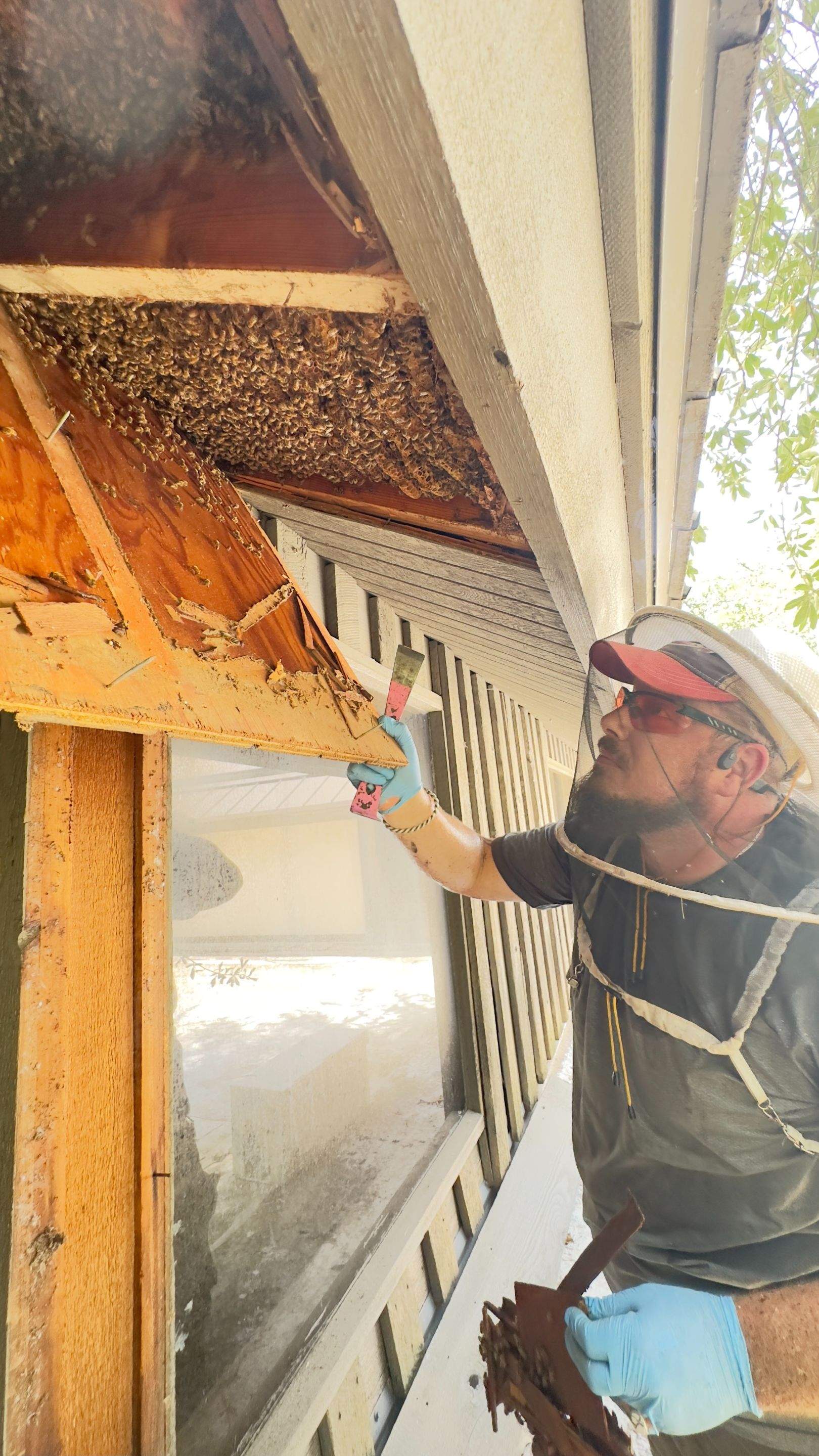 Old Faithful by Rockwall Honey Bee Company