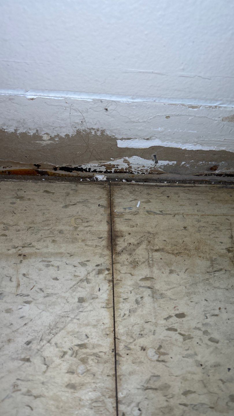 Mold Remediation by Accountable Home Services
