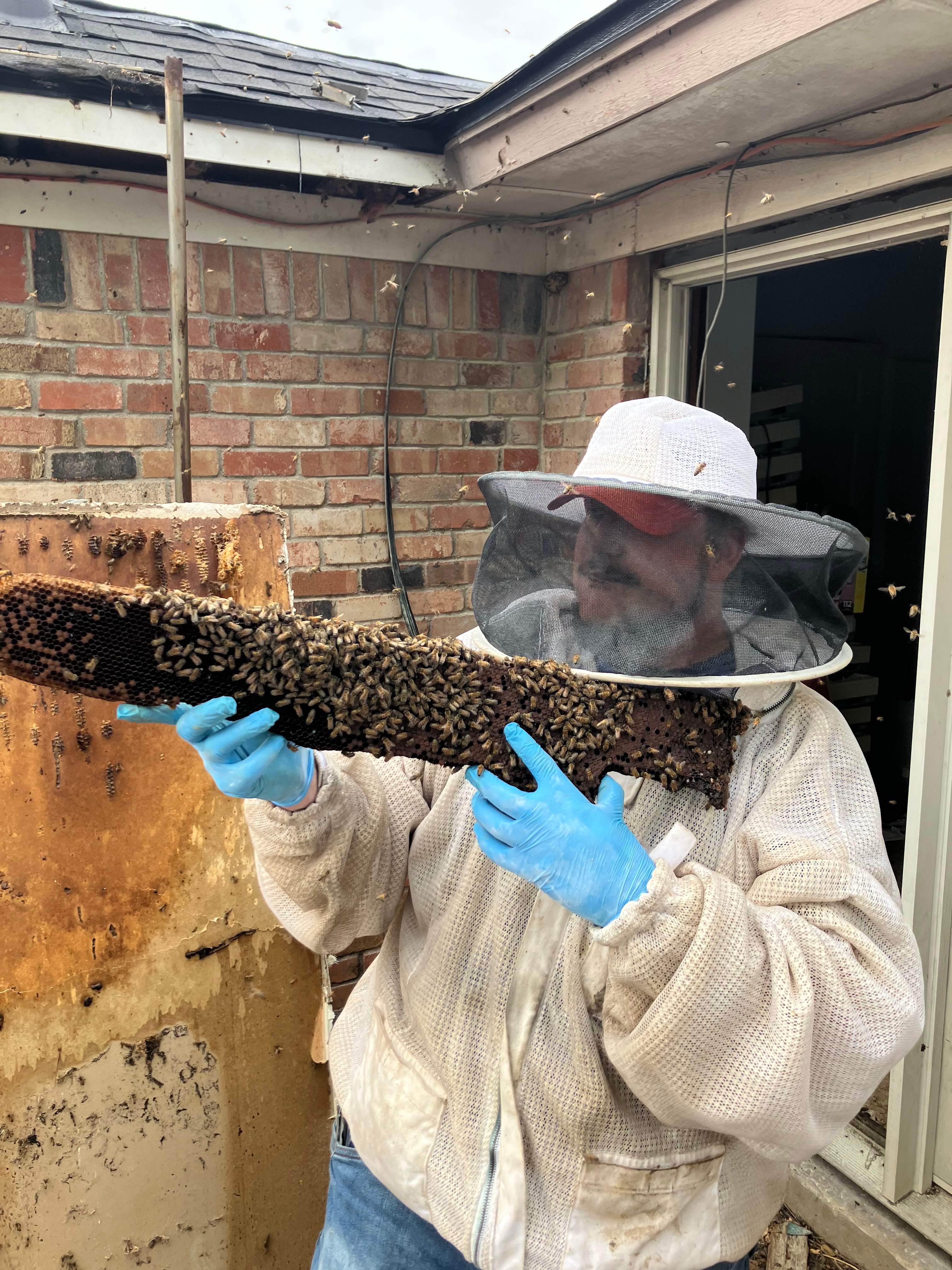 Improper Repair by Rockwall Honey Bee Company