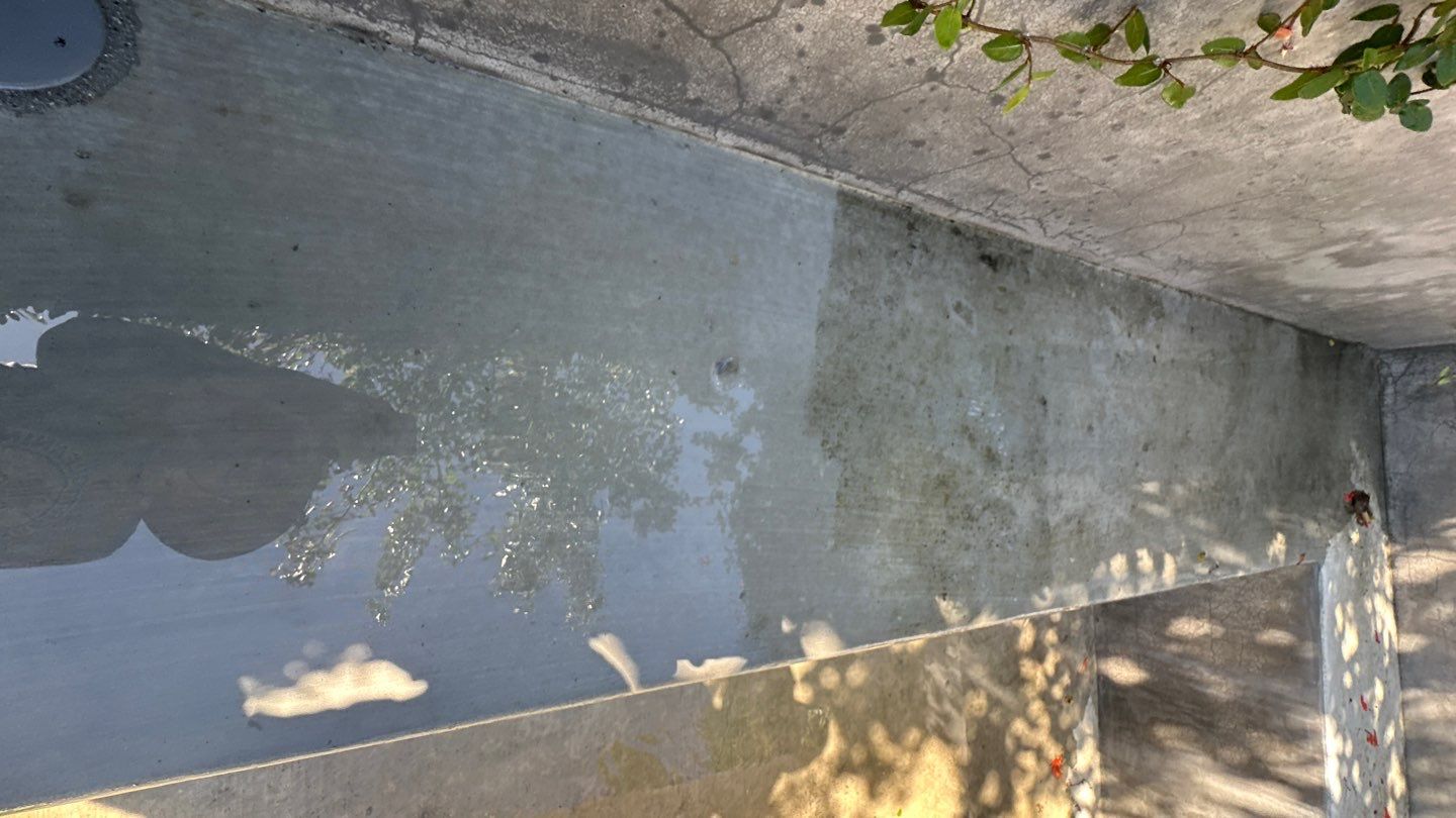 Newport Beach Pressure Washing by Property Cleaning Experts, LLC