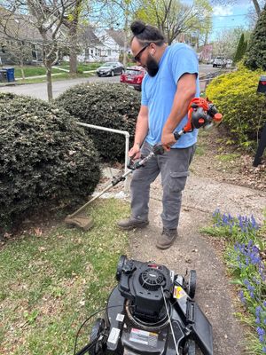 Comprehensive Lawn Care and Hedge Trimming in New Haven