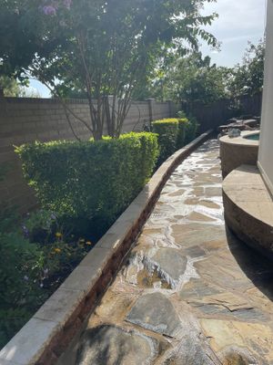 🌿 Pamela’s Backyard Makeover