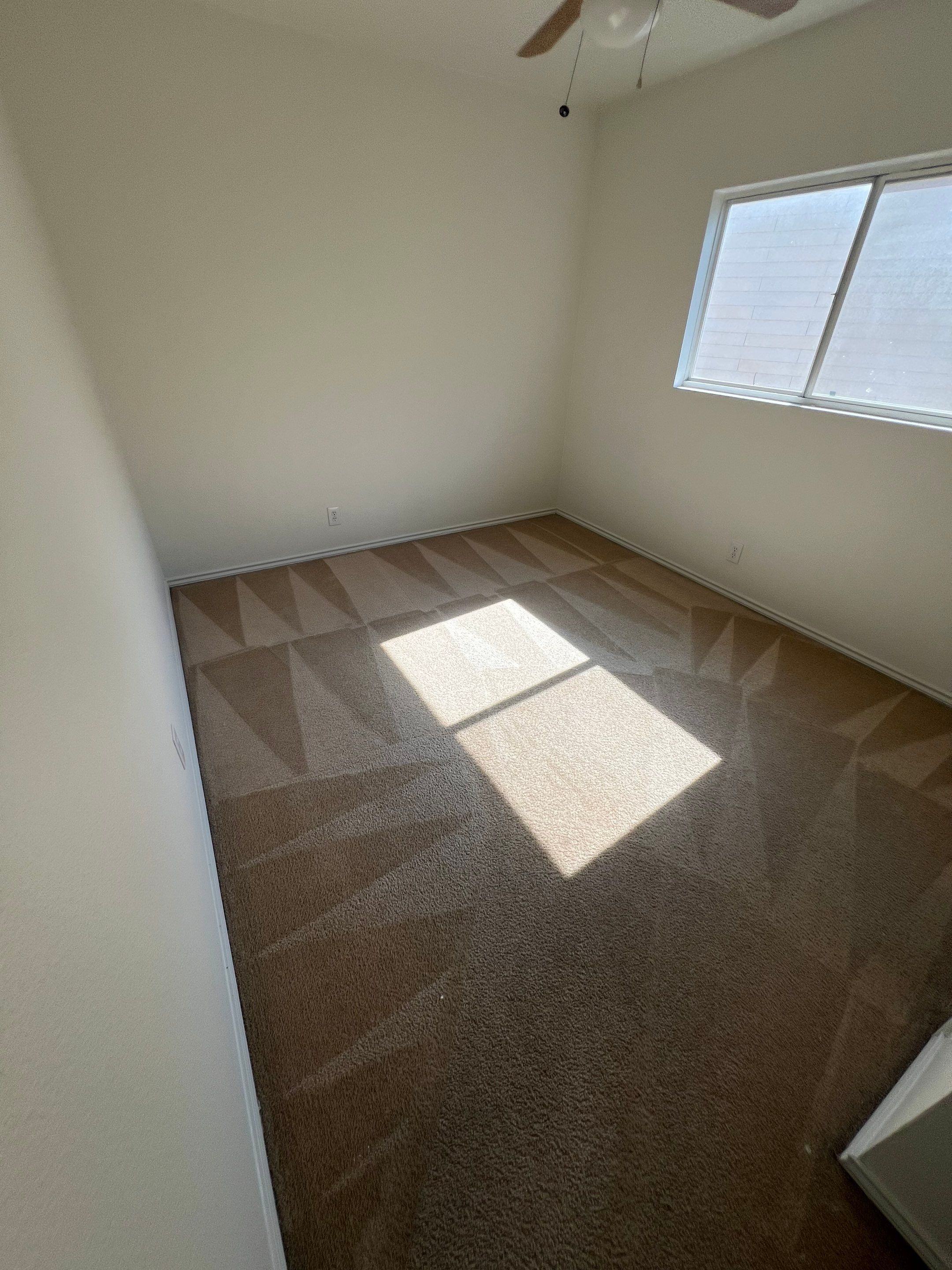 the service being done is carpet cleaning in a well-lit empty room