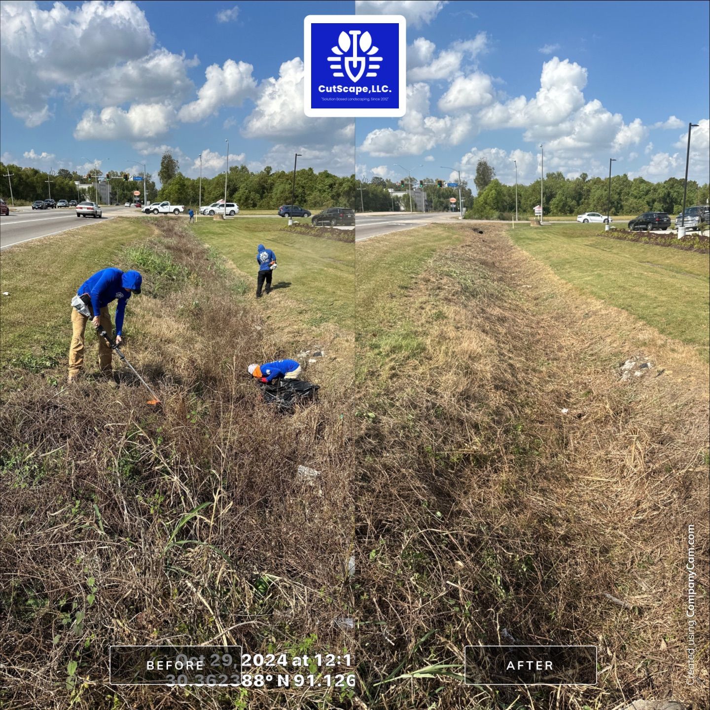 COMMERCIAL LAWN MAINTENANCE: HEDGE TRIM / BED CLEAN / MULCH INSTALL using BROWN MULCH "BARK BRITE" by CutScape, LLC.
