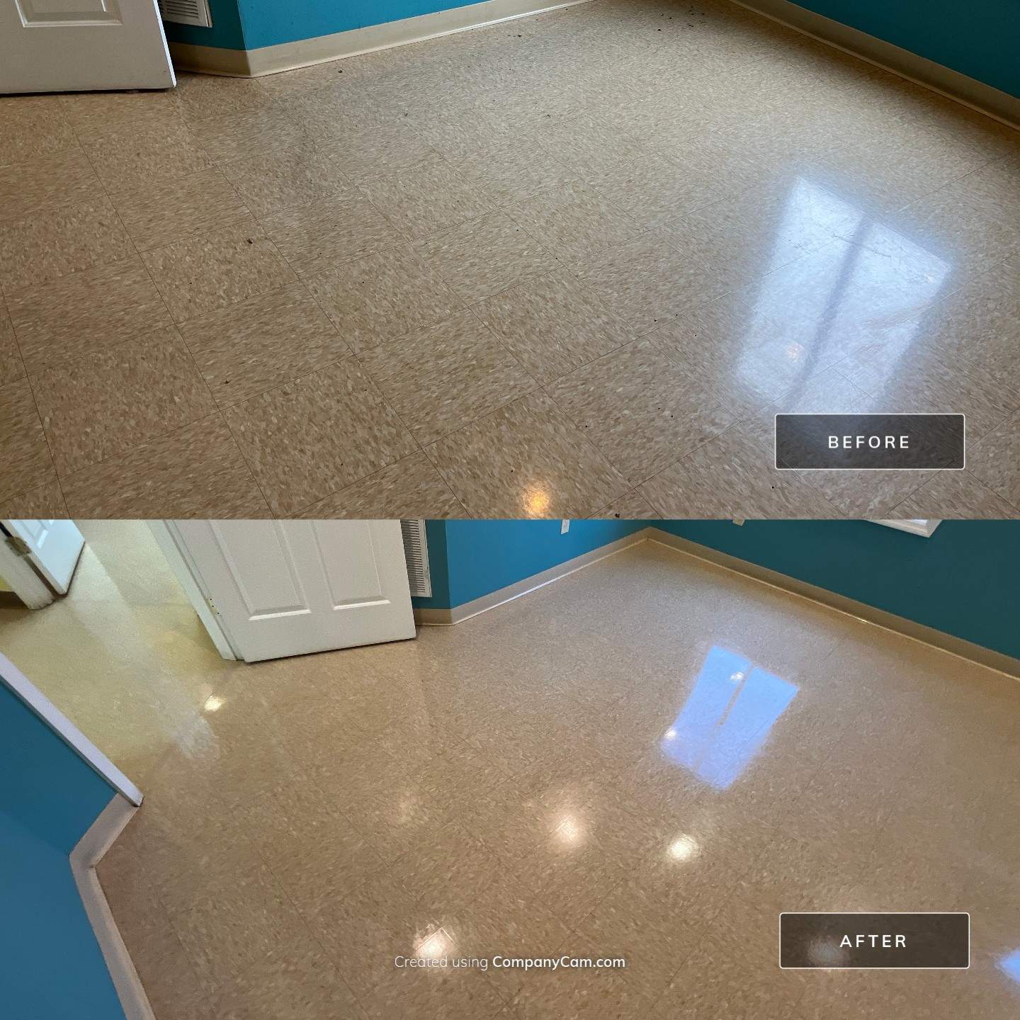 Highland Rim Animal Clinic by Mr. Mister Power Washing