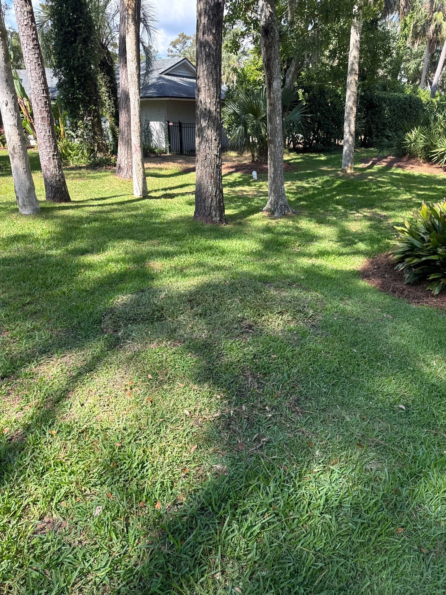 Residential | Pine Straw Install by ProGreen Services