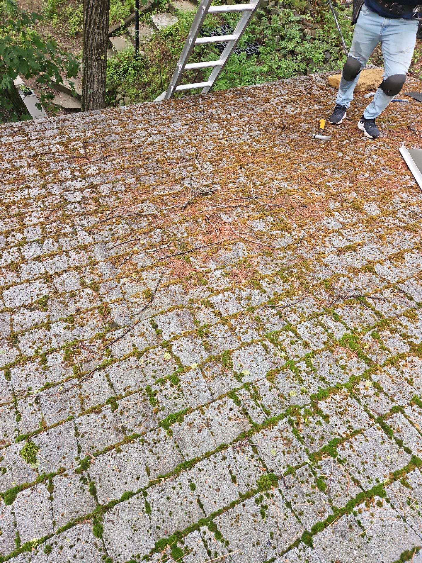 Leak Repair & Roof Wash – Groton, MA by Mighty Dog Roofing of Greater Middlesex County