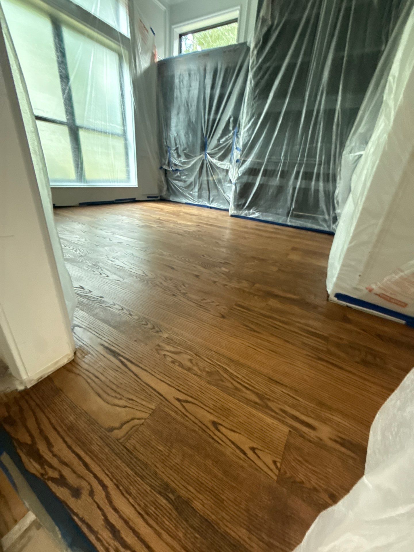 The Napolitano Family by SophAlx LLC