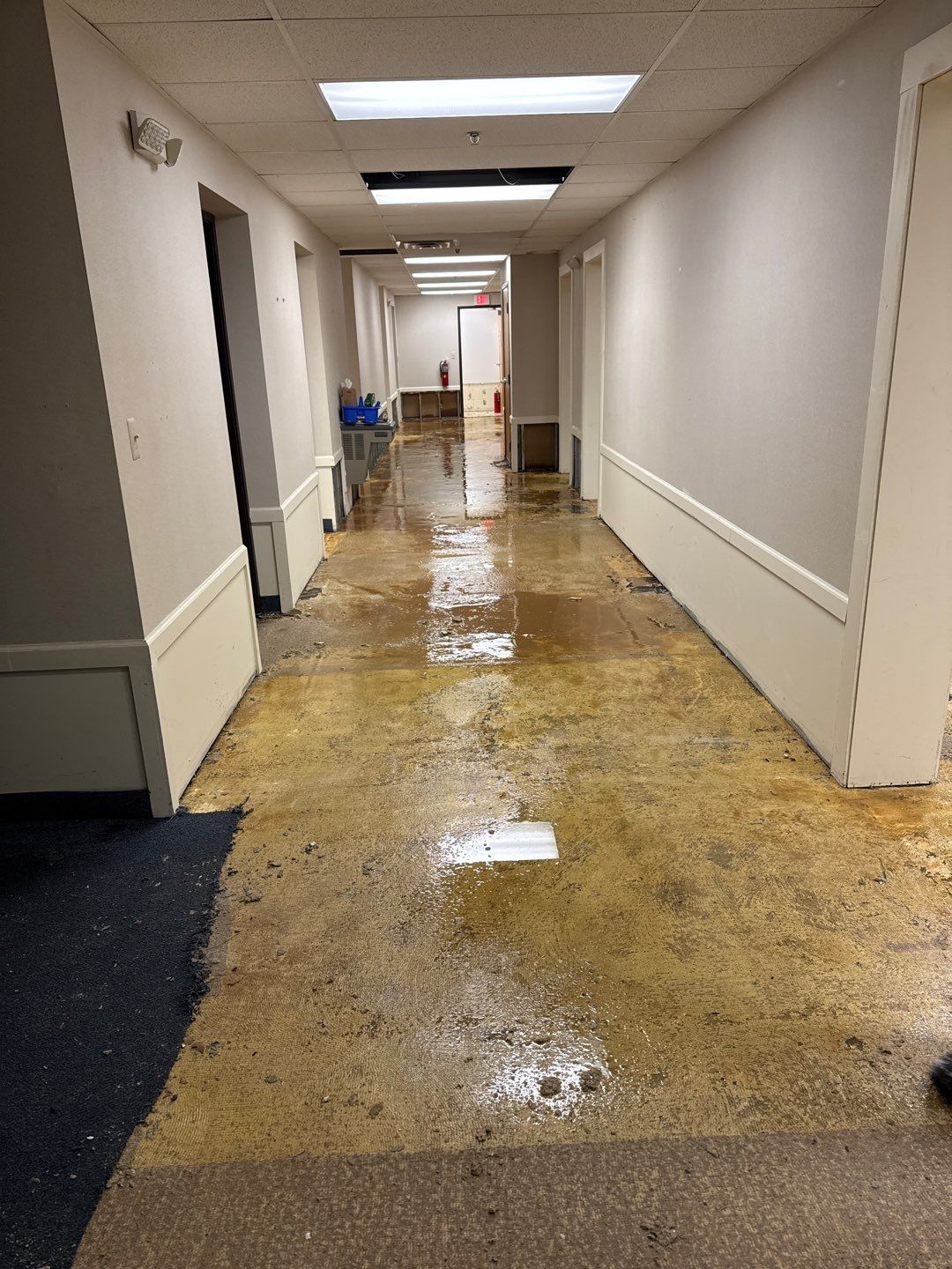 Project in Warren by EzDry Water Mitigation & Property Restoration