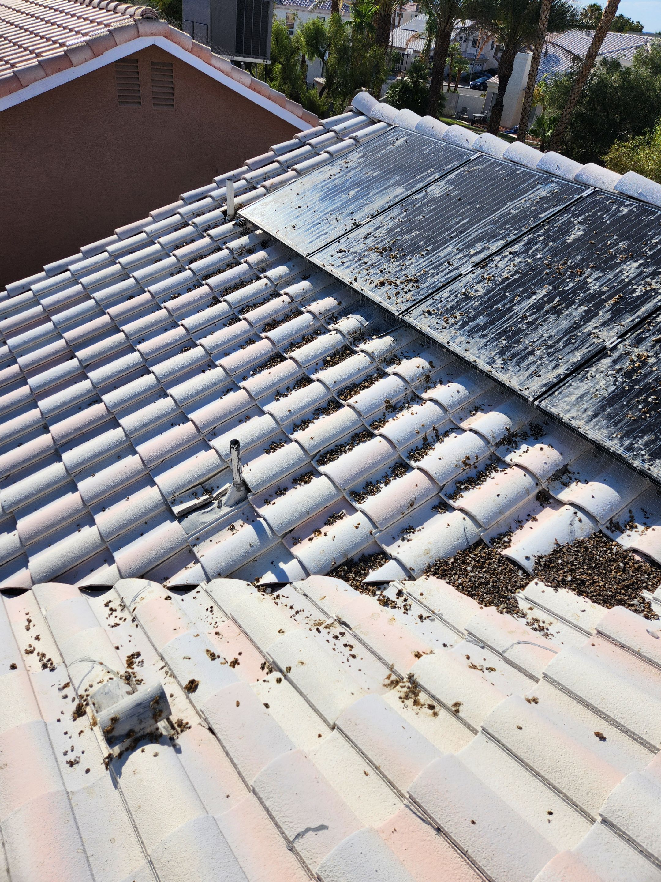 Free Quote- Our Process by Solar Honest Cleaning 