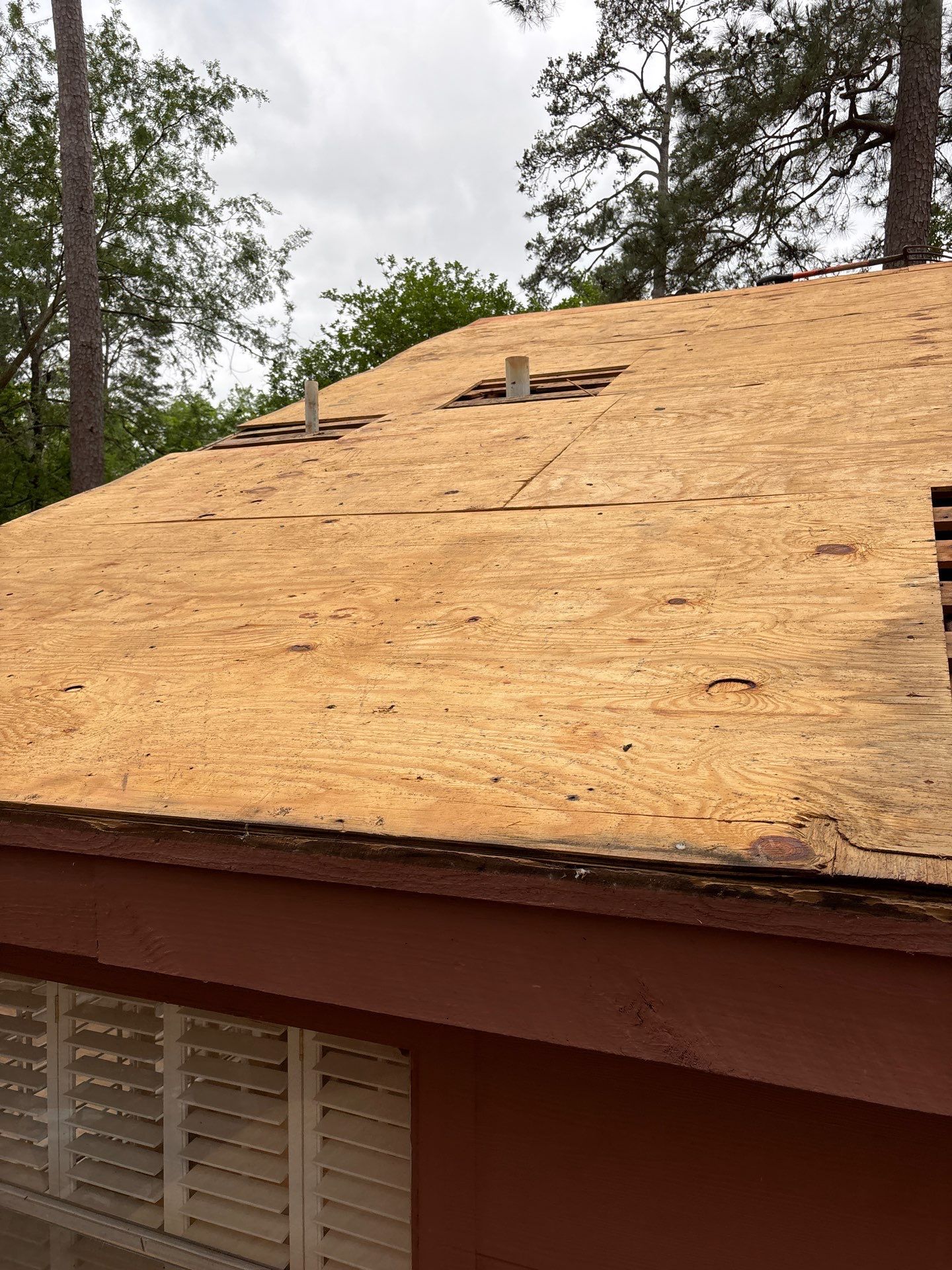 Roof Replacement Spring by Roof Repair Company