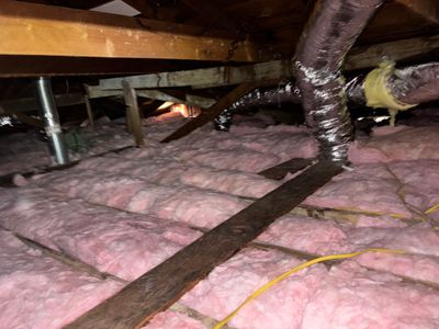 Project in Los Angeles