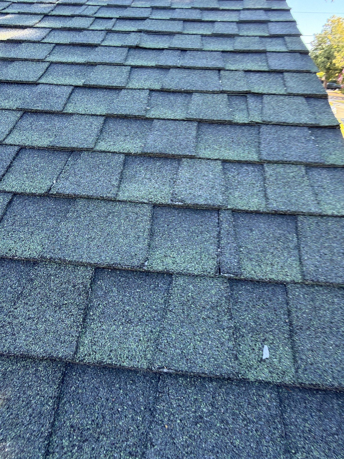 Roof Rejuvenation using Roof Maxx Treatment by Roof Maxx of Folsom