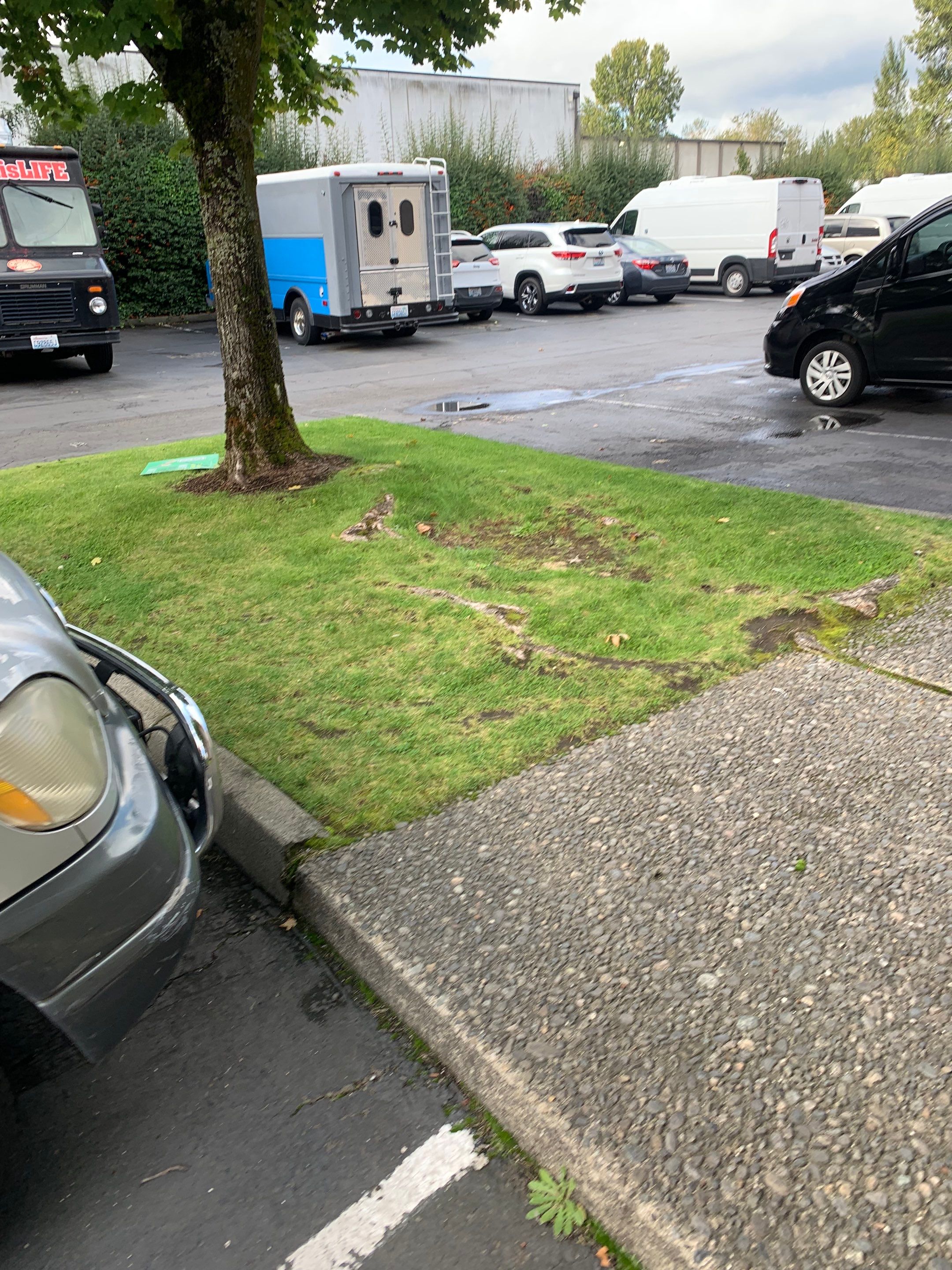 Culinex | Asphalt & Concrete Driveway Repair  by Jireh Asphalt & Concrete Inc 