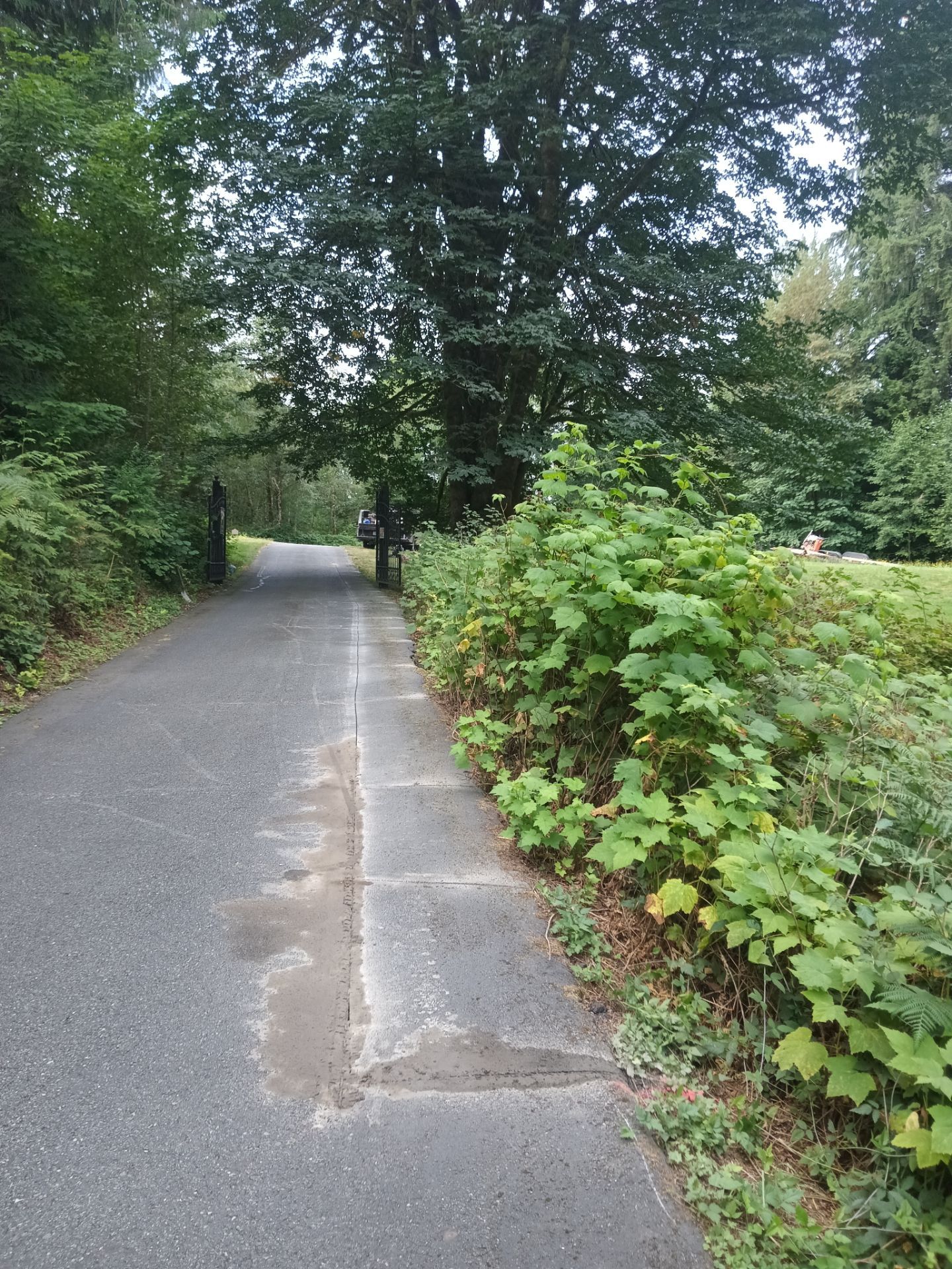 Jim | Rockery Wall, Landscaping, Road Repair & Sealcoating by Jireh Asphalt & Concrete Inc 