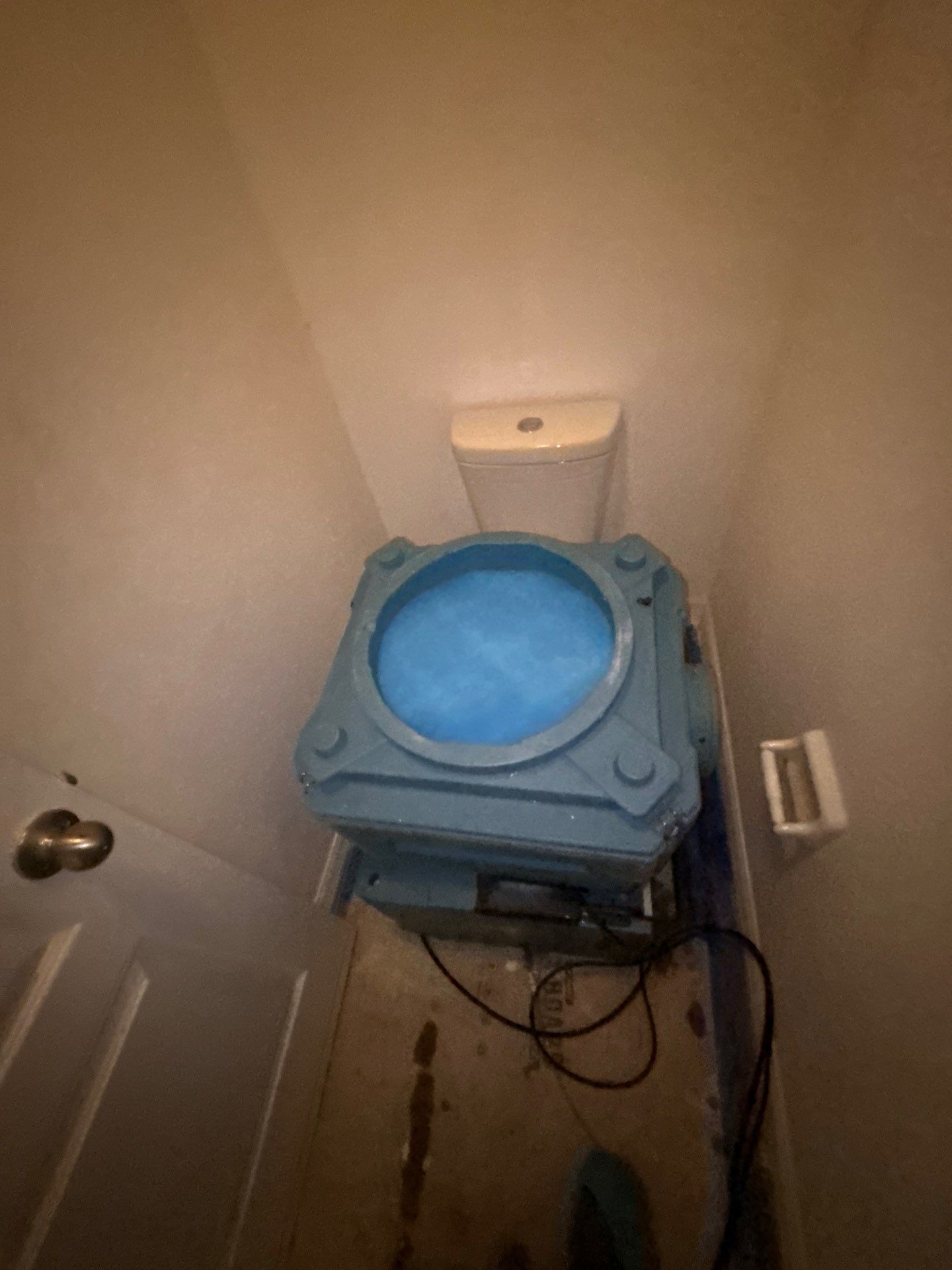 Mold Damage Removal In Palmetto, FL by Ampm Restoration Services