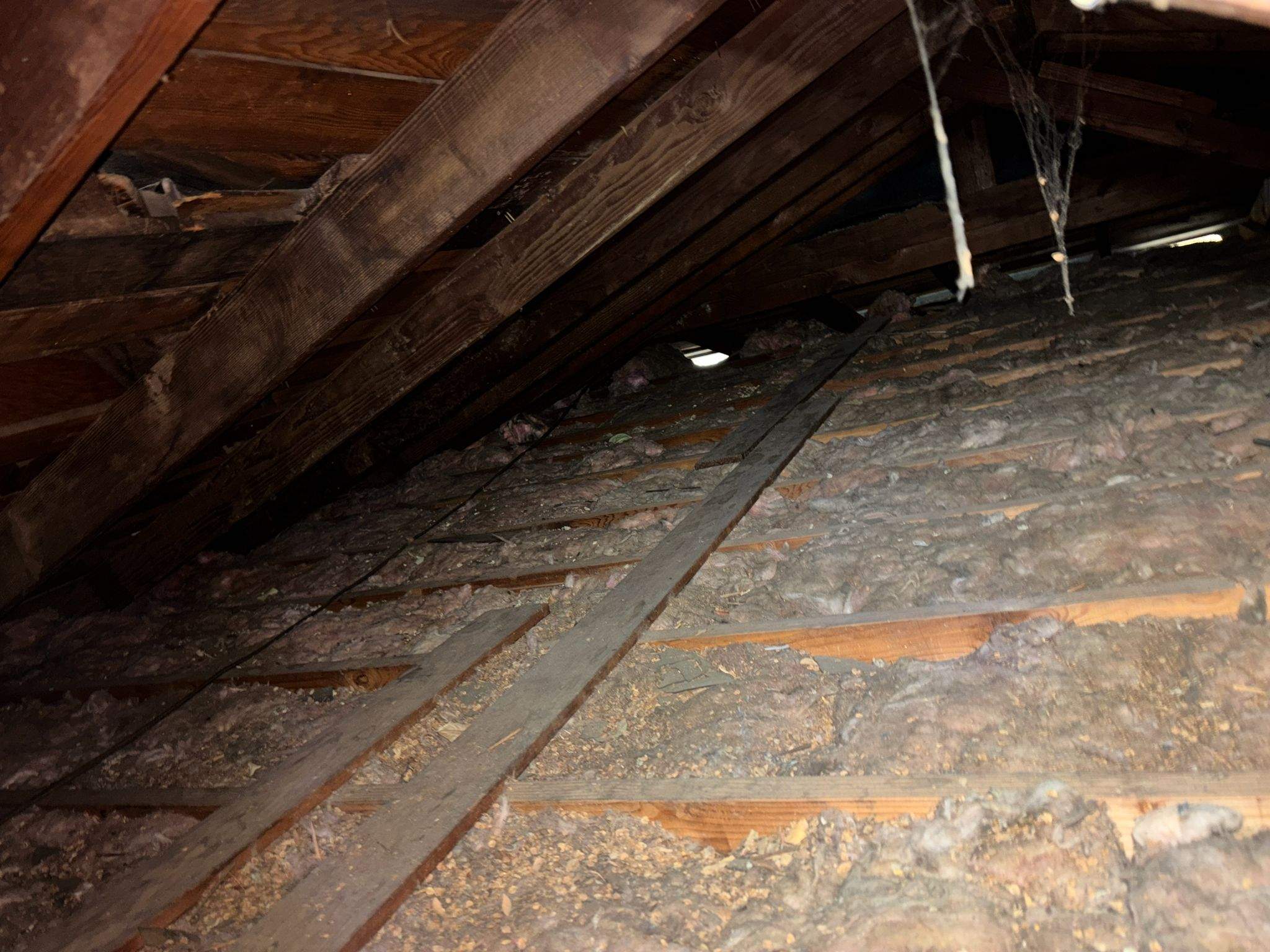 Project in La Habra by Insulation Labs