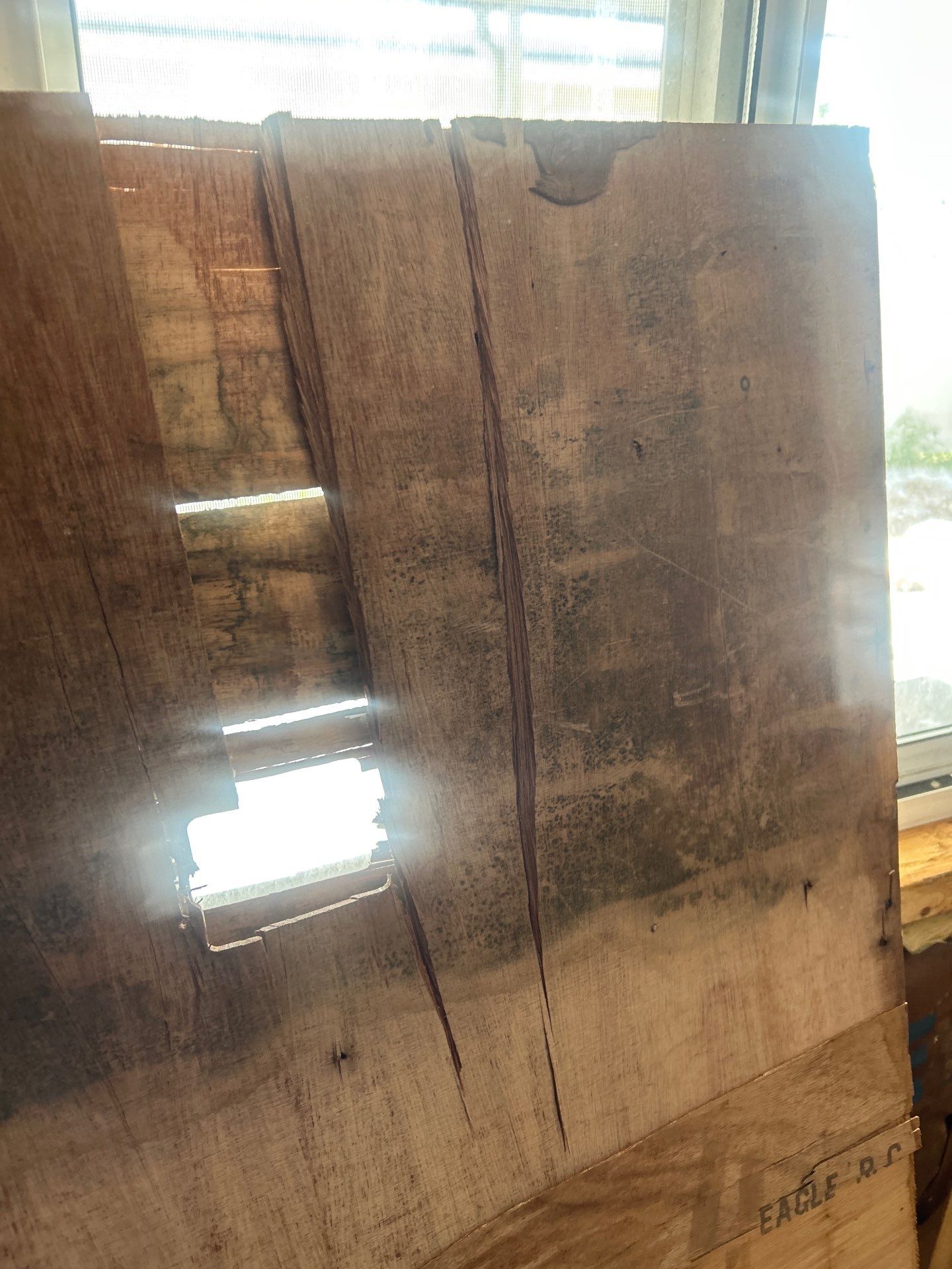 Mold Remediation Bradenton by Ampm Restoration Services 