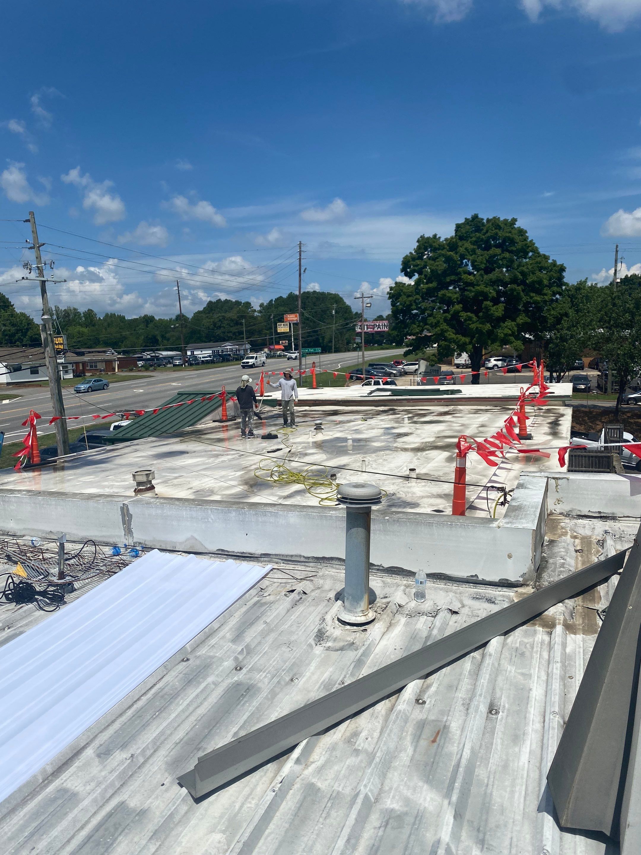 Metal Coating and Skylight Protection by Georgia Roof Advisors