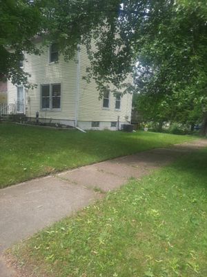 Storm Damaged Tree Removal  using Tree Removal