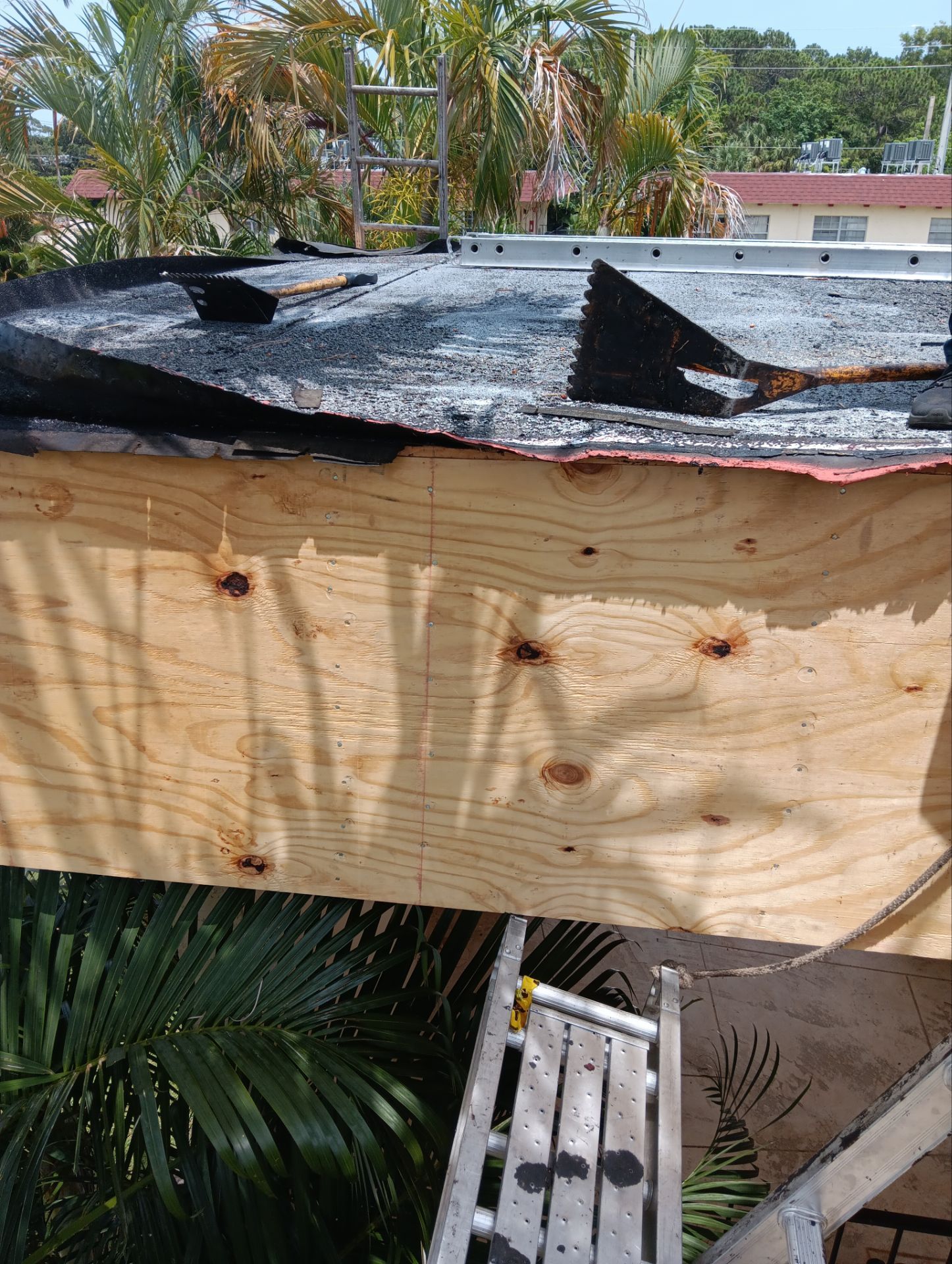 Kirk Apartments  by Oasis Consulting Design LLC