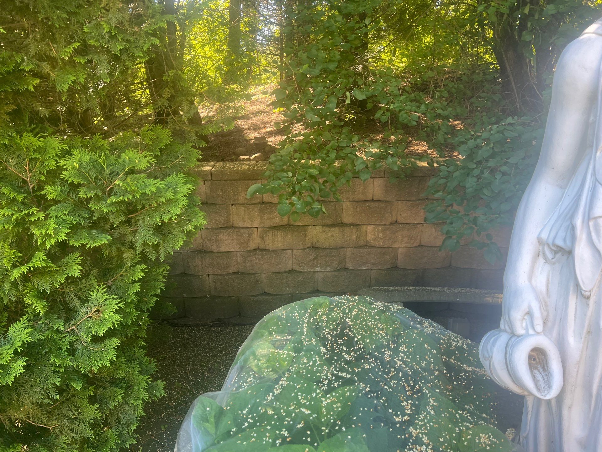 concrete cleaning using Algaecide, soft wash soap by Northern Power Washing LLC.